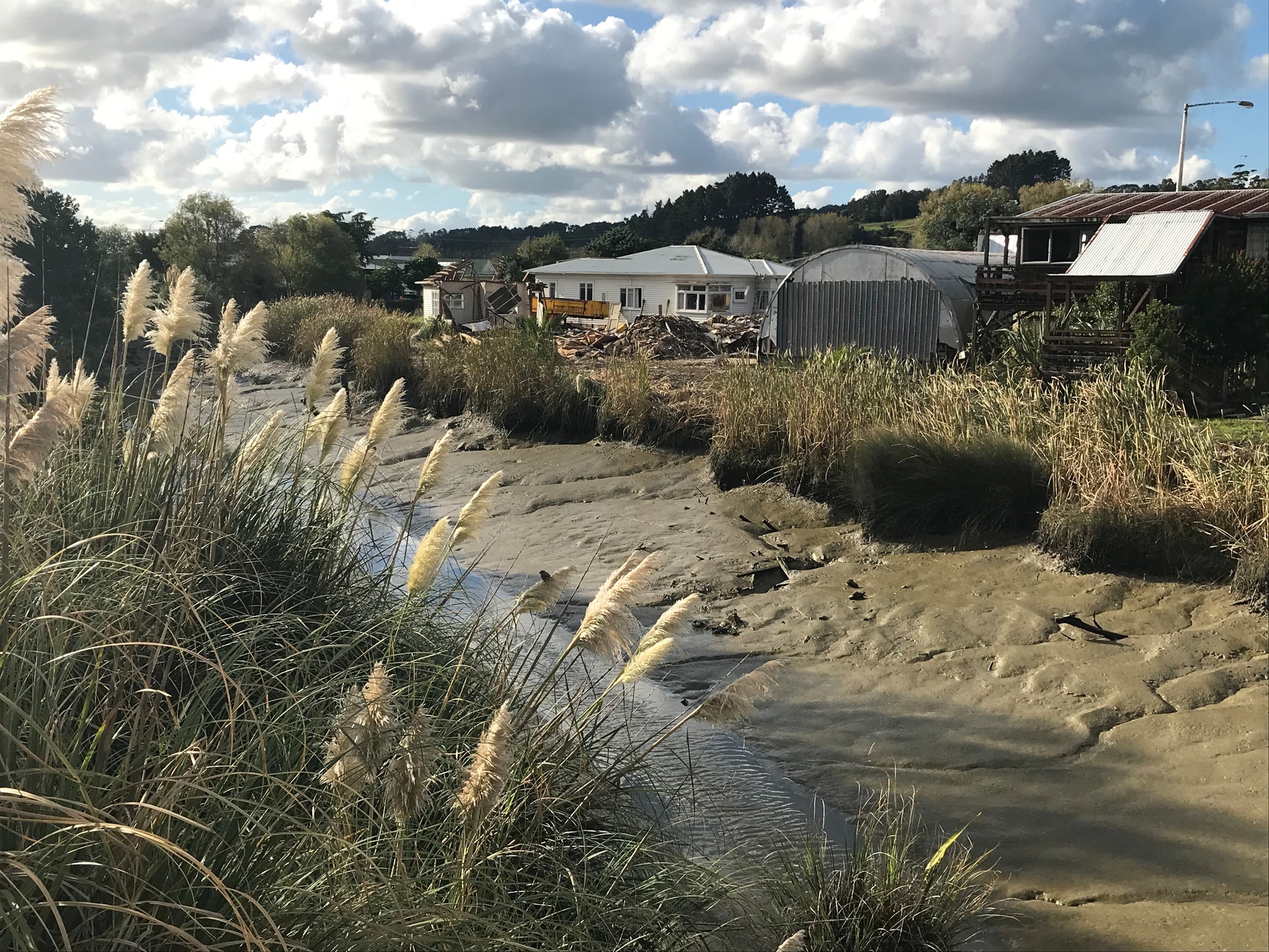 The Awaroa River, Helensville Photo / Susan Botting