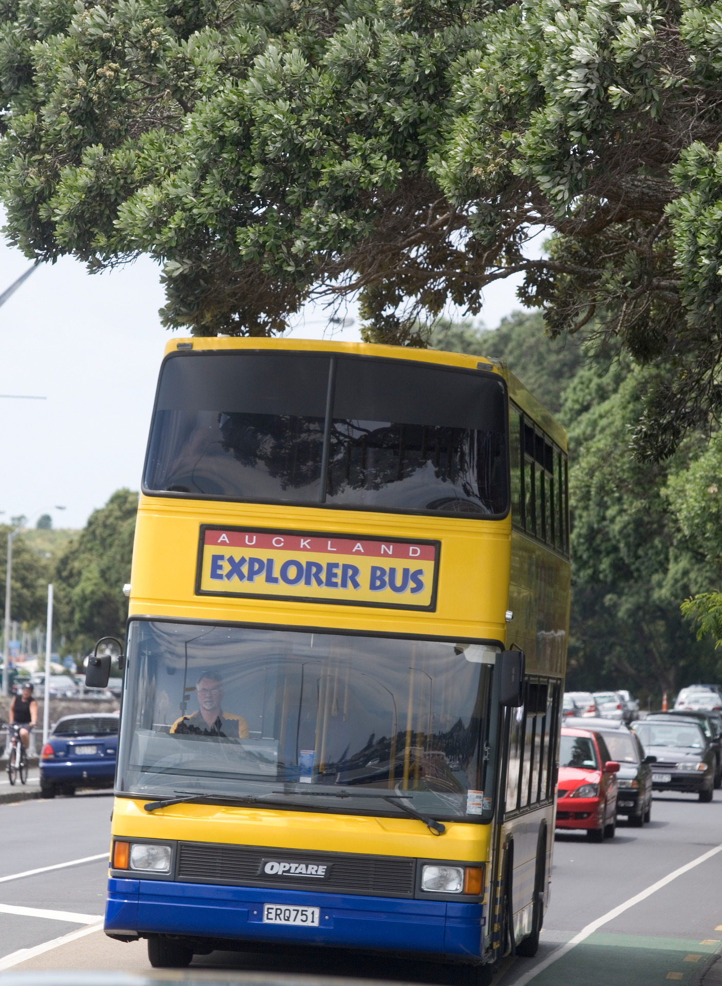 Auckland Transport has six of the Explorer sight-seeing tour buses on standby for March Madness.