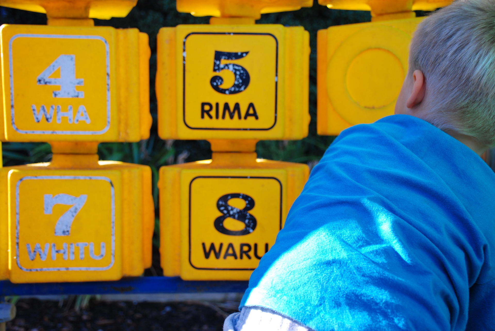 Research has found Māori children have higher rates of avoidable hospitalisations and deaths. Photo / NZME