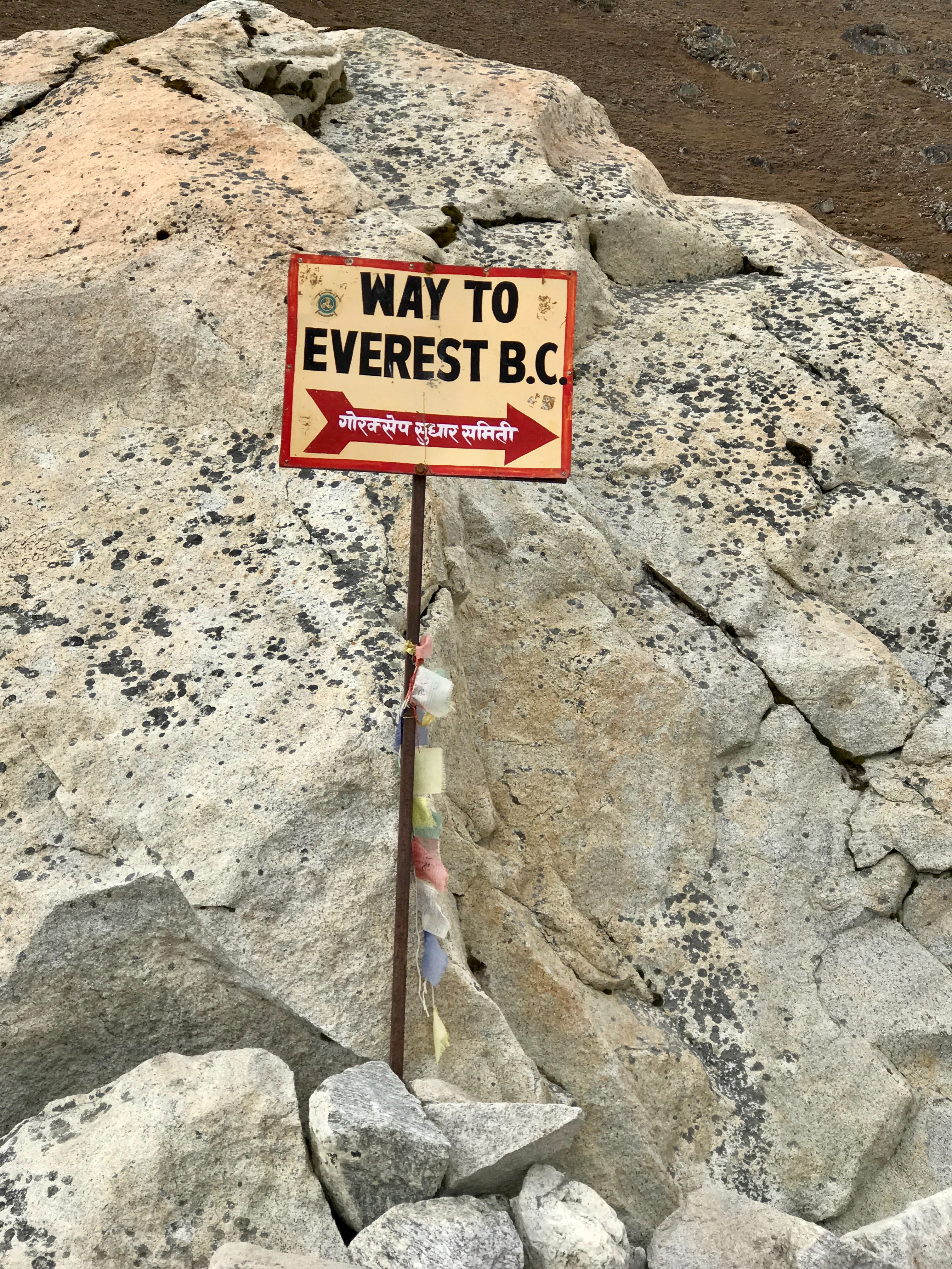 The way to Everest Base Camp: The highest mountain on earth is expecting a record number of visitors. Photo / Mari Partyka, Unaplash