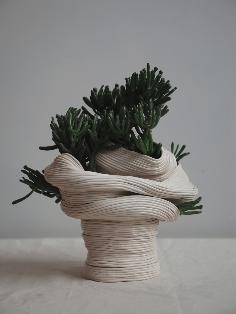 Standing vessel with twisted torso, 2016. Ceramic with Crassula Gollum.