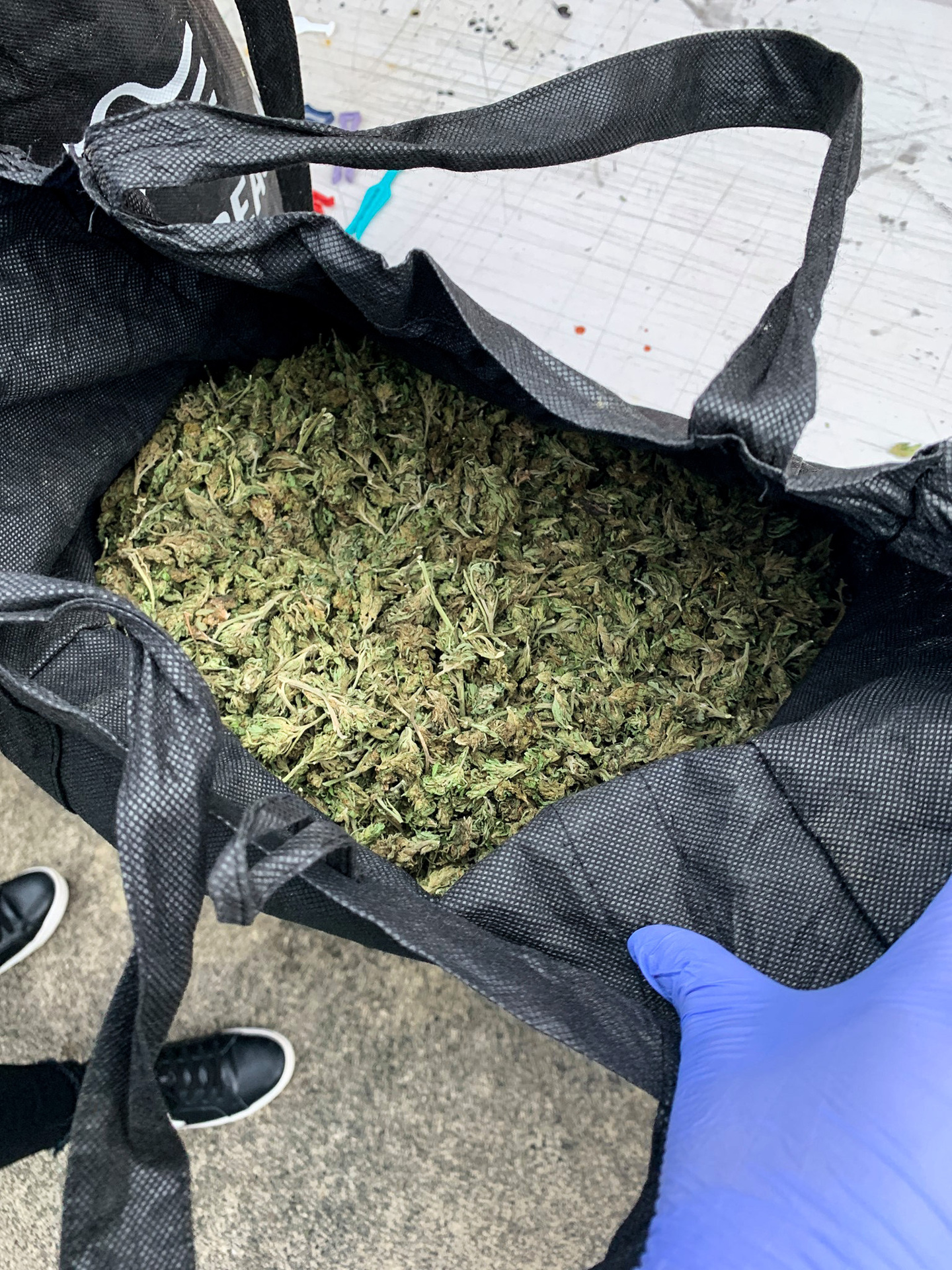 New Zealand Police seized 20 ounces of methamphetamine, large bags of cannabis and multiple kilograms of iodine. Photo / NZH
