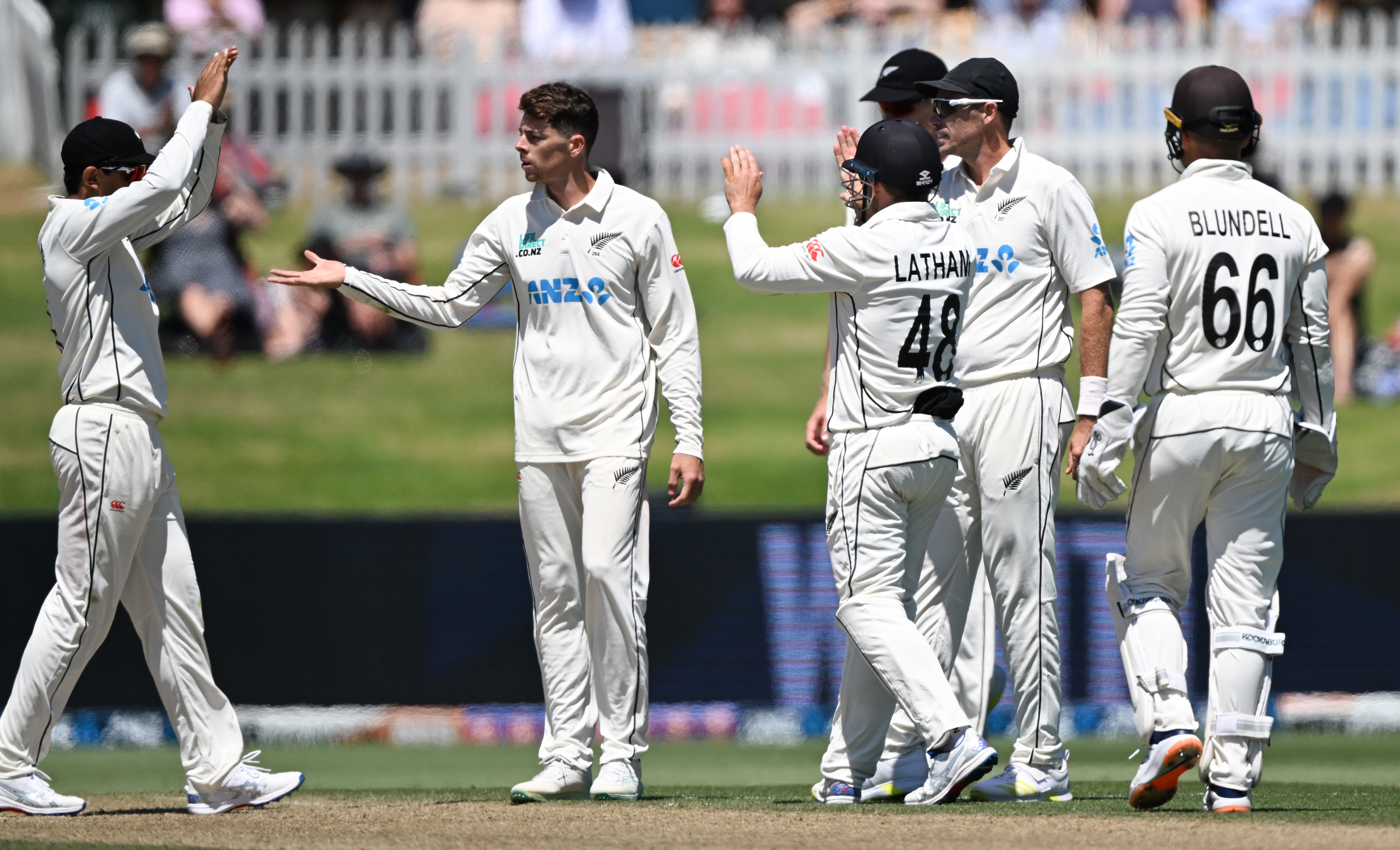Mitchell Santner celebrates the wicket of Clyde Fortuin. Photo / Photosport