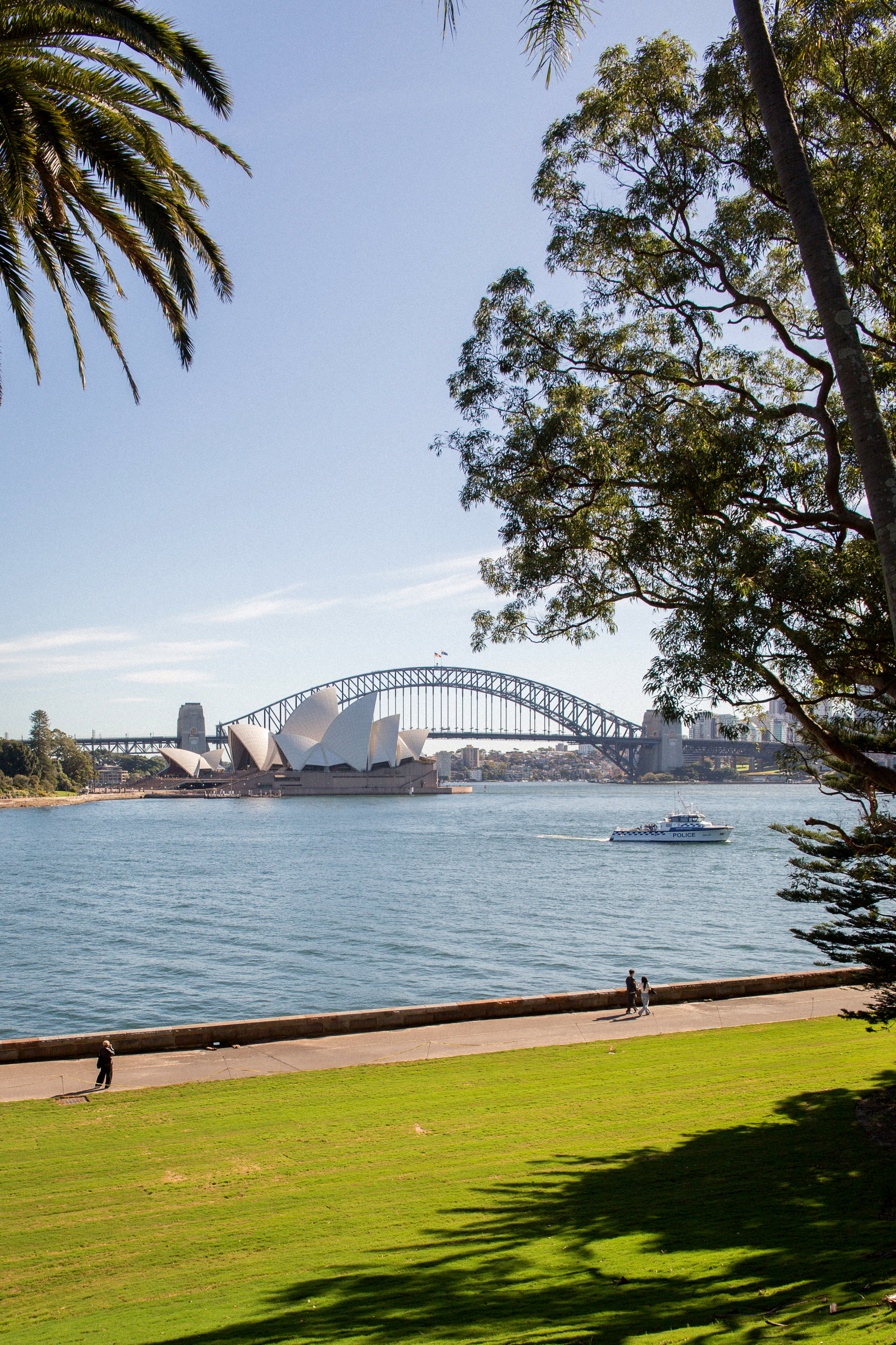 The view of the Sydney Opera House and Harbour Bridge from Mrs. Macquarie’s chair, a landmark at the Royal Botanic Garden. Photo / Rachel Kara Ashton, The New York Times