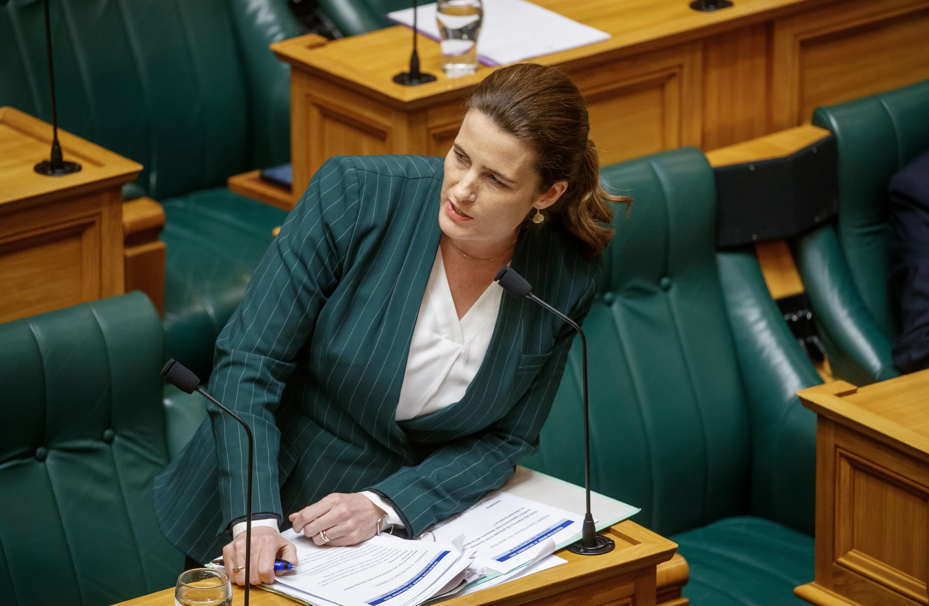 Finance Minister Nicola Willis was briefed on the mega ferry situation before she was sworn in as a minister. Photo / Mark Mitchell