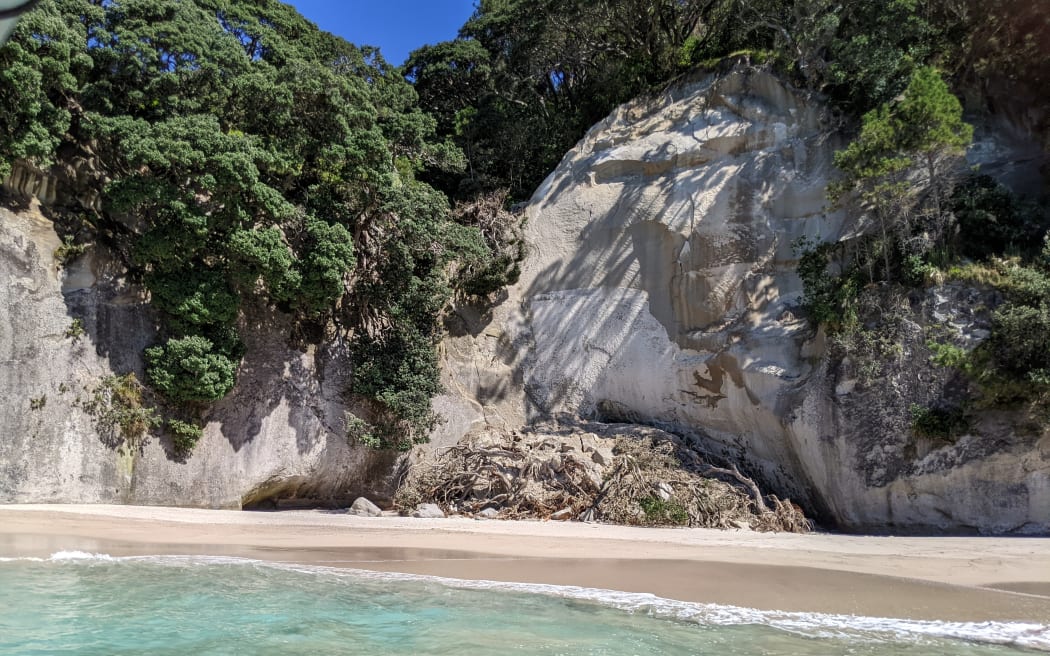 Coromandel s Cathedral Cove walking track is closed but still