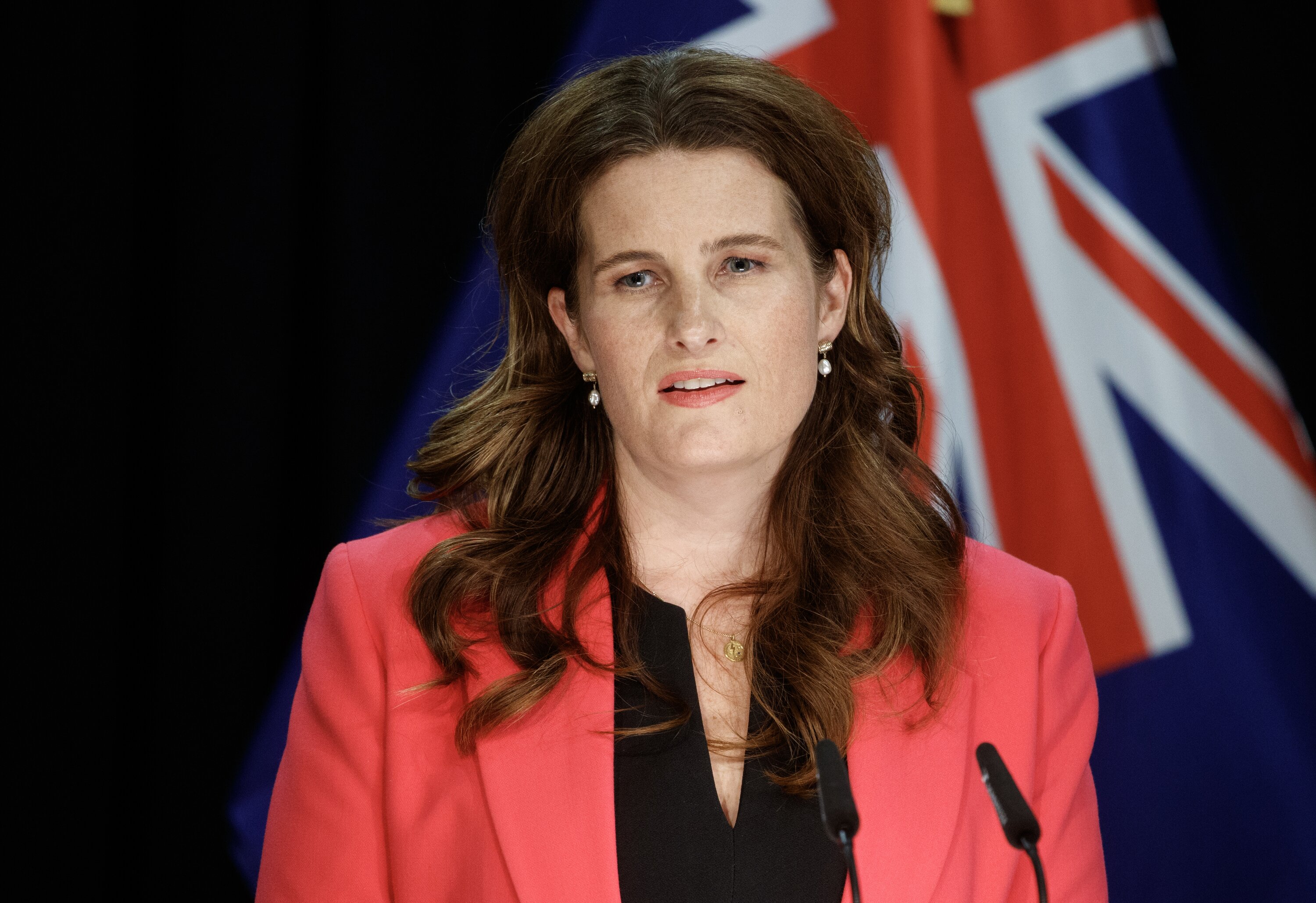 Finance Minister Nicola Willis thinks the banks should come back to the select committee inquiry to explain themselves. Photo / Mark Mitchell