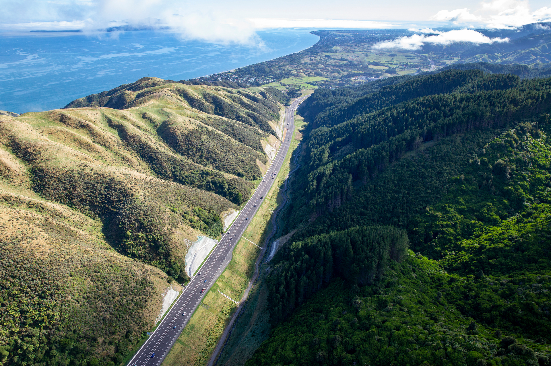The Wainui Saddle area of the Transmission Gully motorway. Photo / Mark Mitchell