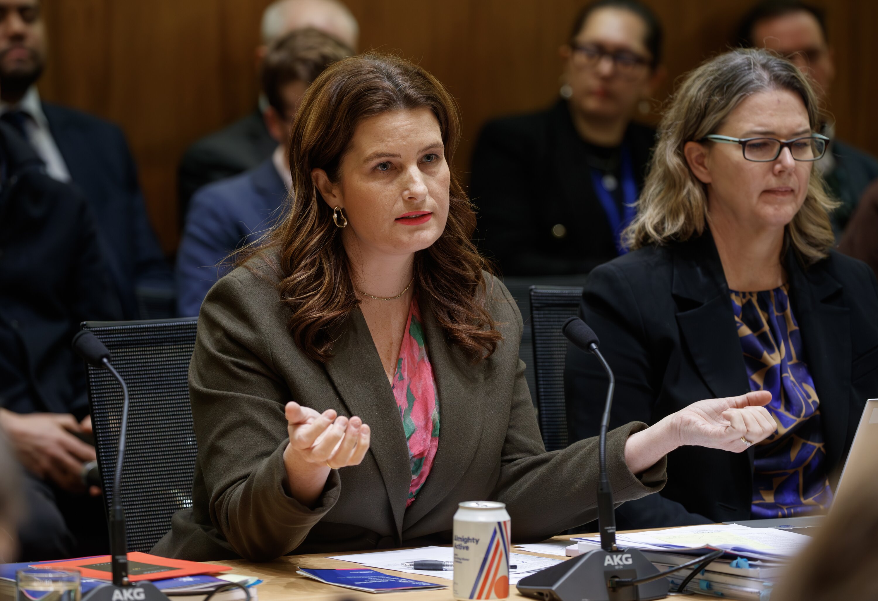 Finance Minister Nicola Willis says negotiations with shipbuilder Hyundai Mipo Dockyard are ongoing. Photo / Mark Mitchell