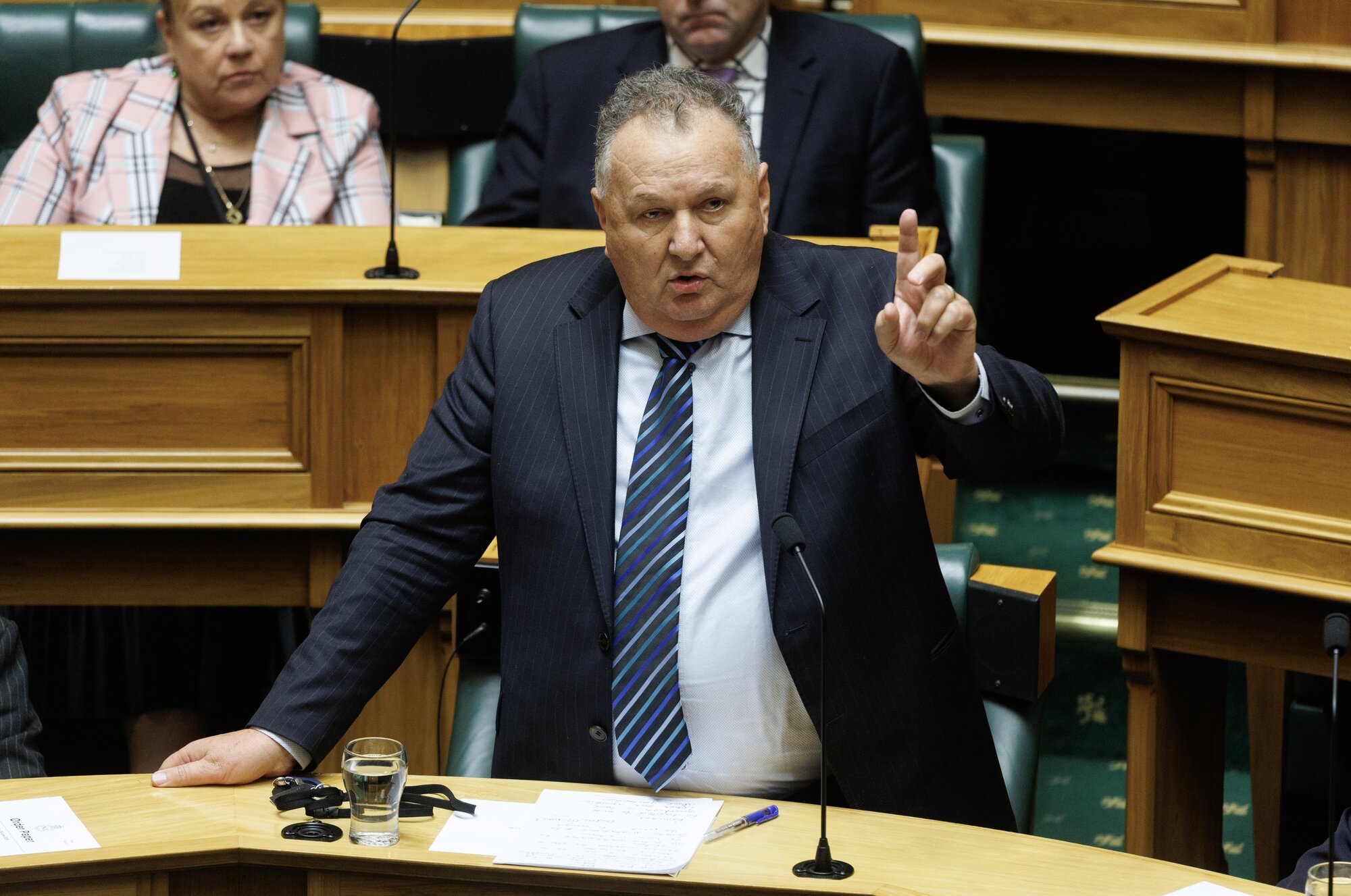 NZ First MP Shane Jones in Parliament. Photo / Mark Mitchell
