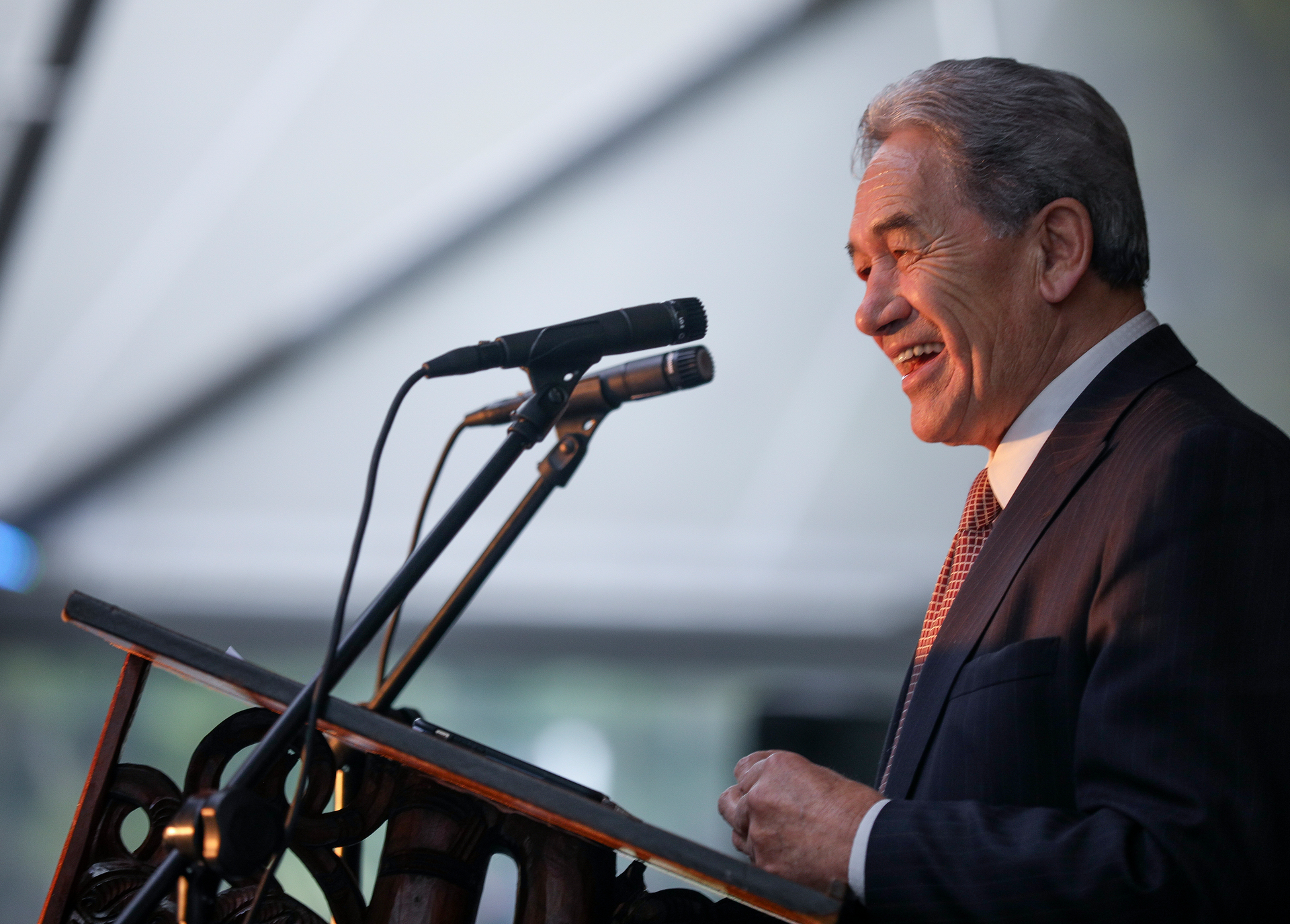 Deputy Prime Minister Winston Peters. Photo / Andrew Warner