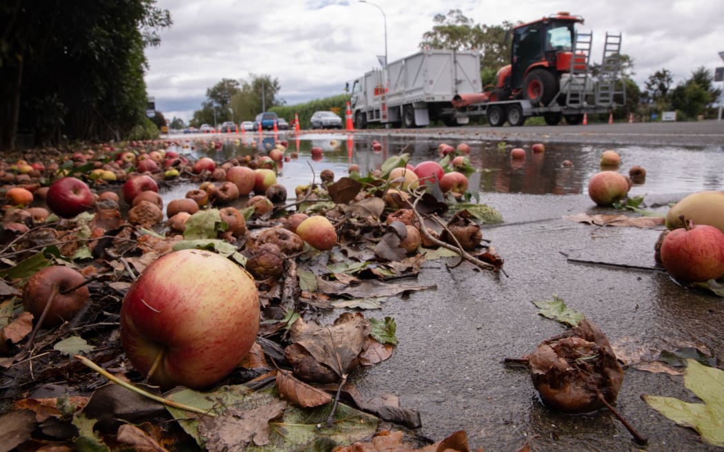A flooded orchard and apples strewn over the road just outside Hastings following Cyclone Gabrielle. Photo / RNZ / Angus Dreaver