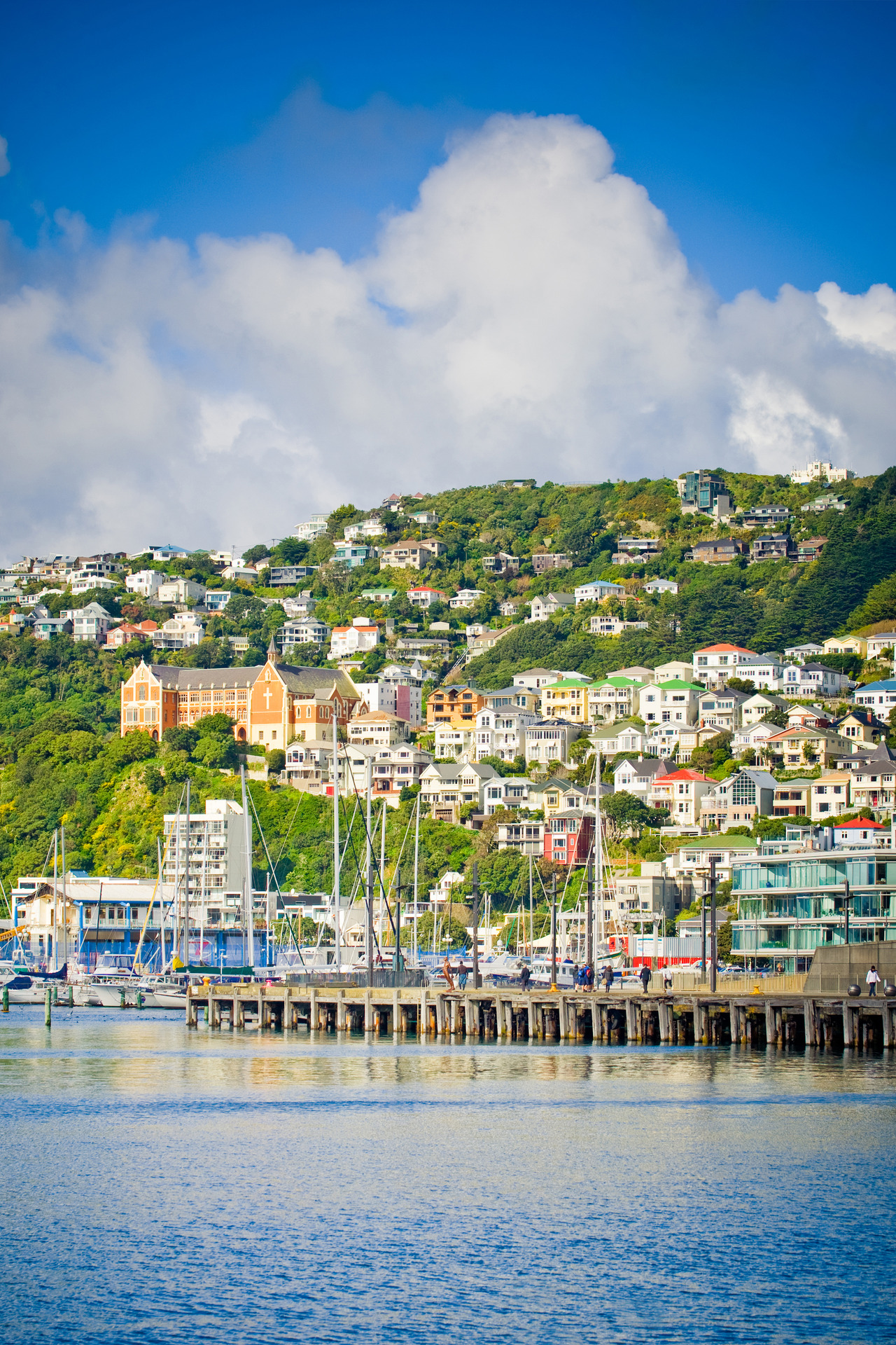 Mt Victoria, seen from the Wellington waterfront. Photo / WellingtonNZ