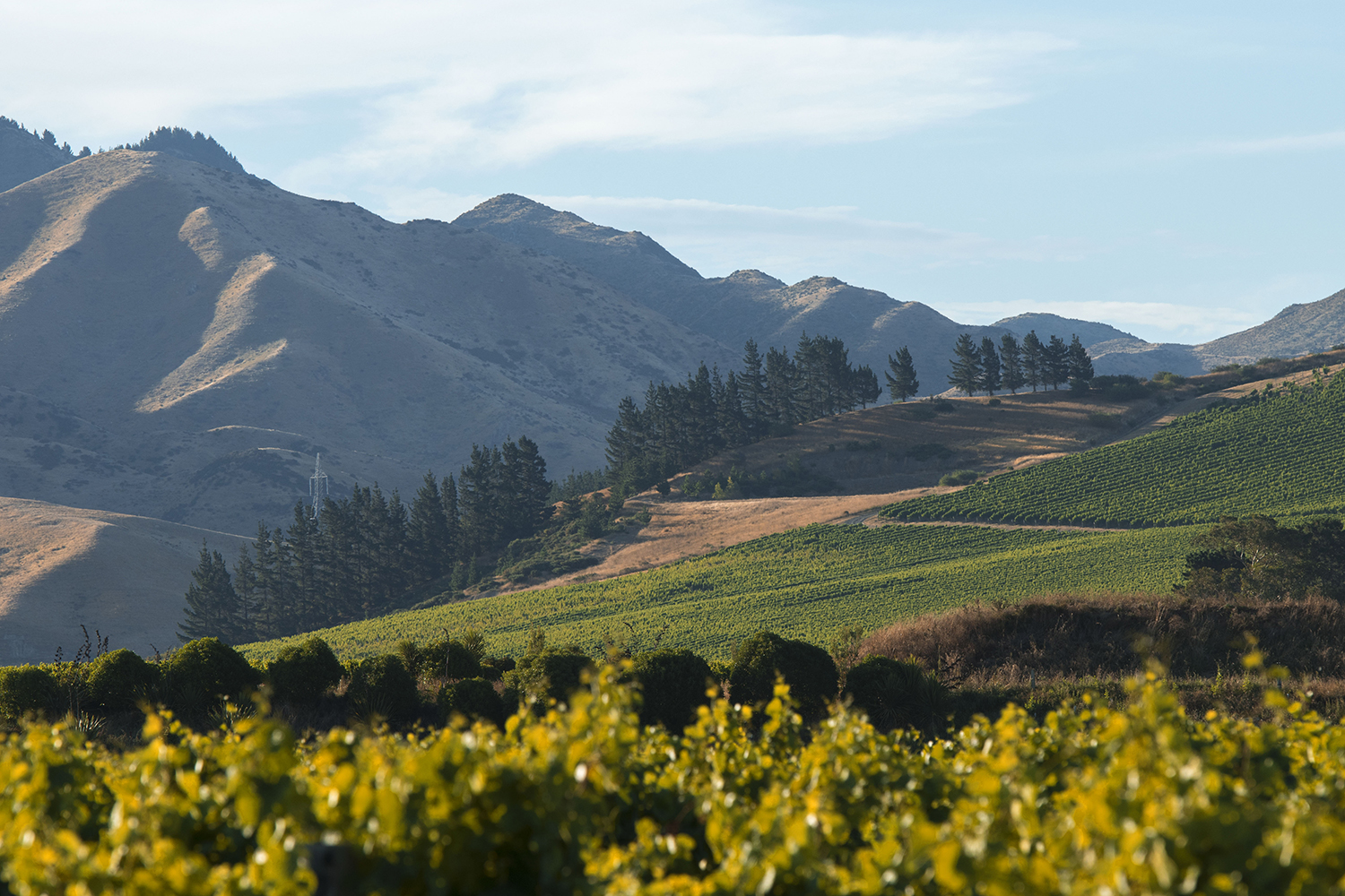 The beautiful Marlborough region. Photo / Richard Briggs