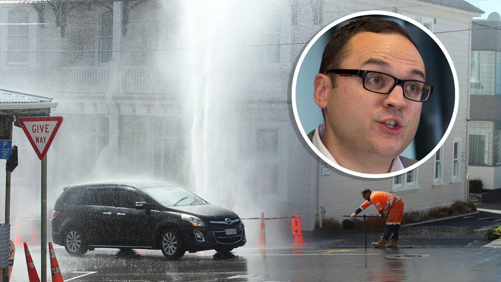 Wellington Water chairman Nick Leggett faces calls for his resignation after another scathing report about the organisation.