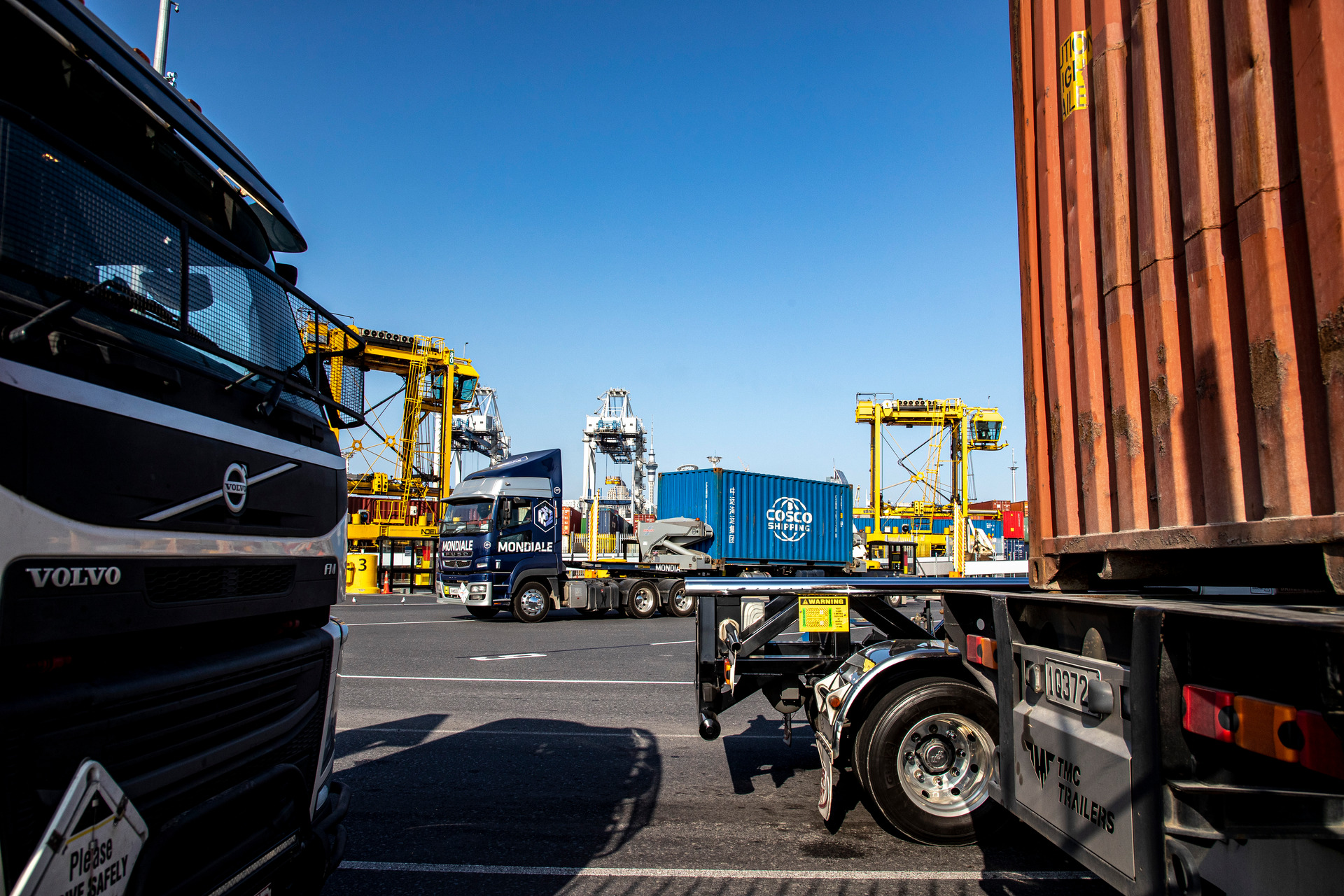 Ports of Auckland. Photo / Michael Craig