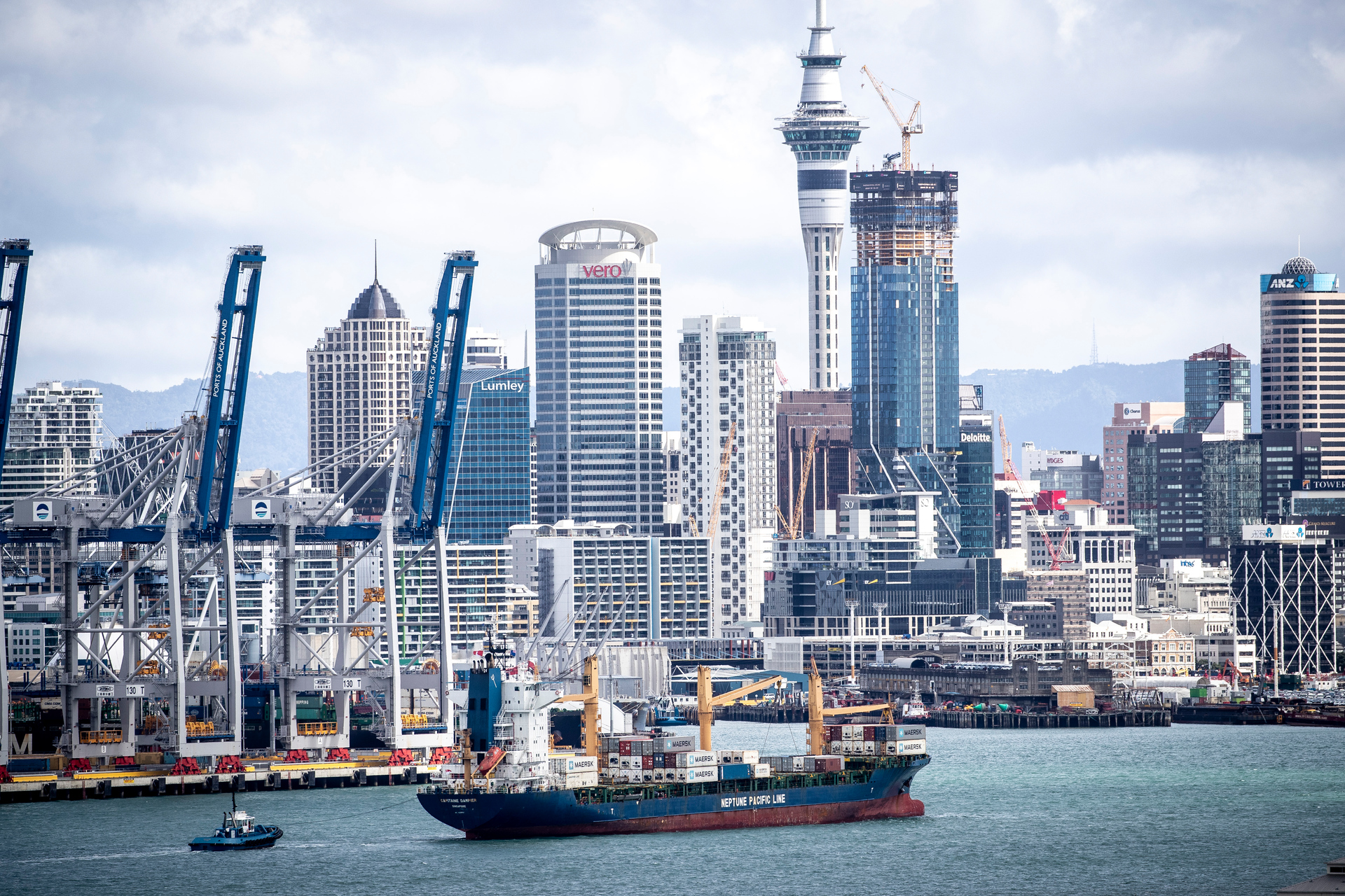A proposal is on the table to sell a long-term lease for Port of Auckland's operations. Photo / Michael Craig's 