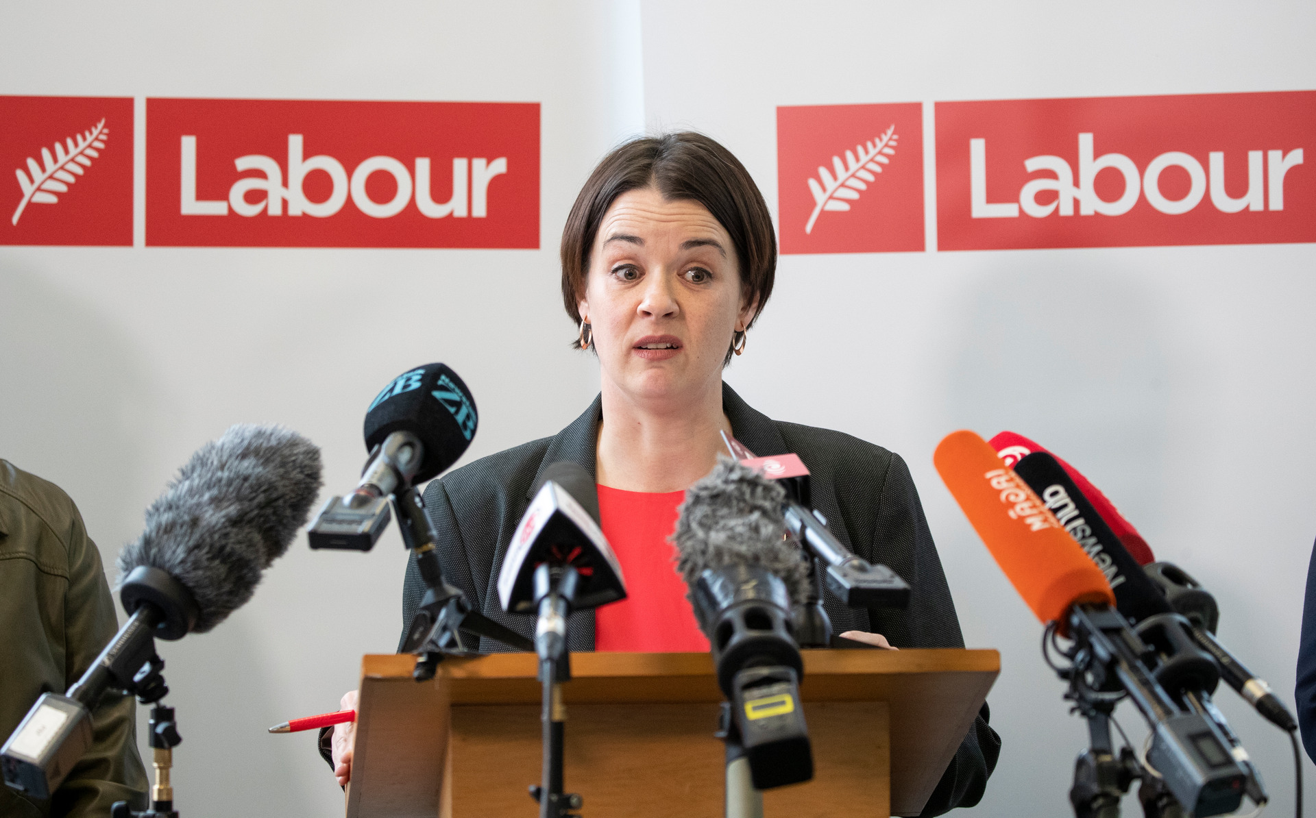 Labour Party president Claire Szabo said she has not been advised of the specifics of the SFO's inquiry. Photo / Mark Mitchell