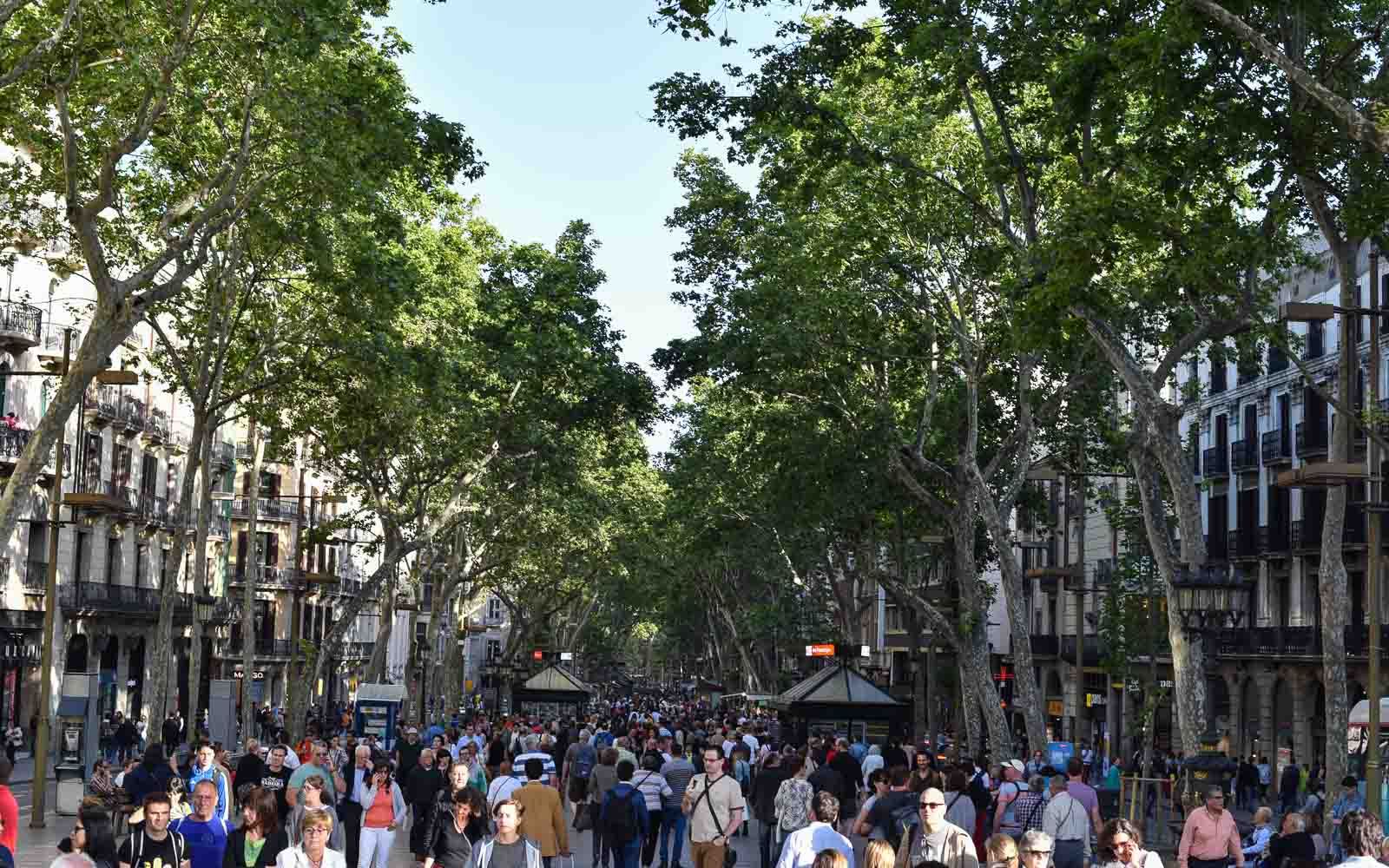 La Rambla in Barcelona. If they're going to take our sailing trophy, why don't we take their street? Photo / supplied 