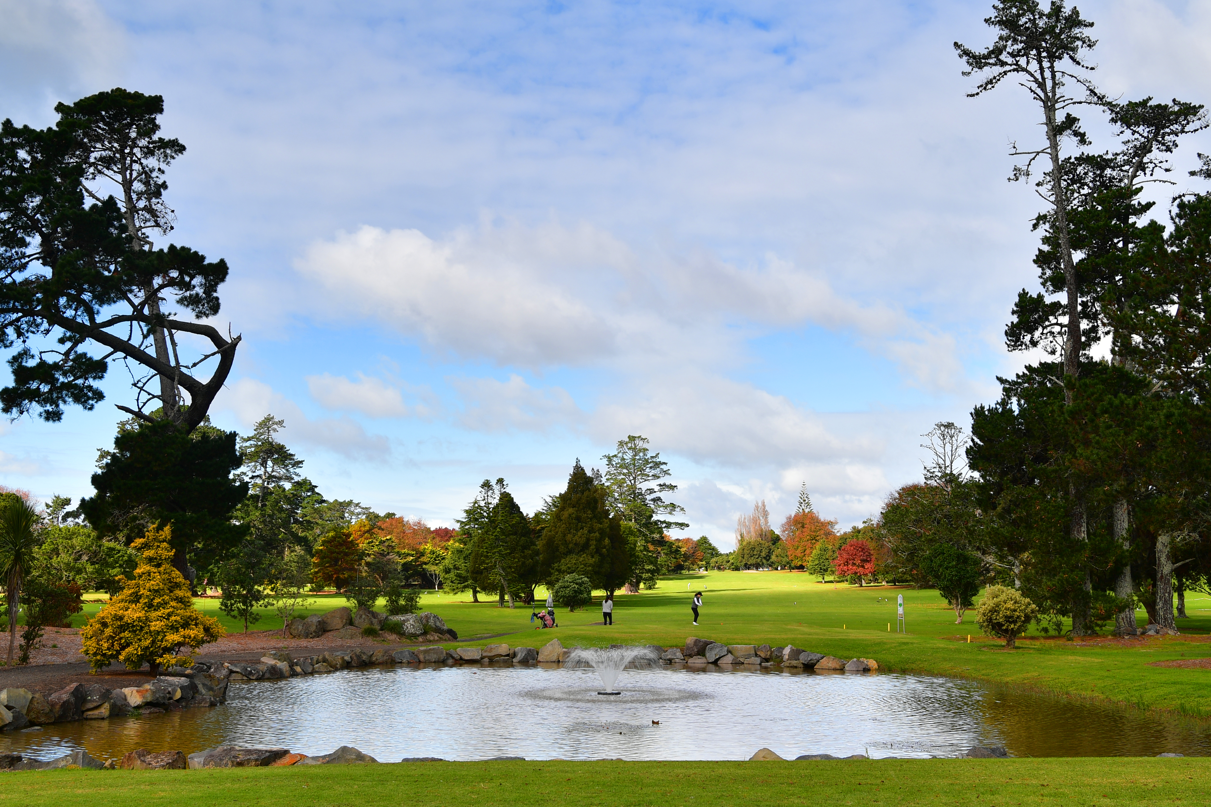 Takapuna Golf Course: Convert to nine holes and a wetland to store floodwater, or can it be done a different way?