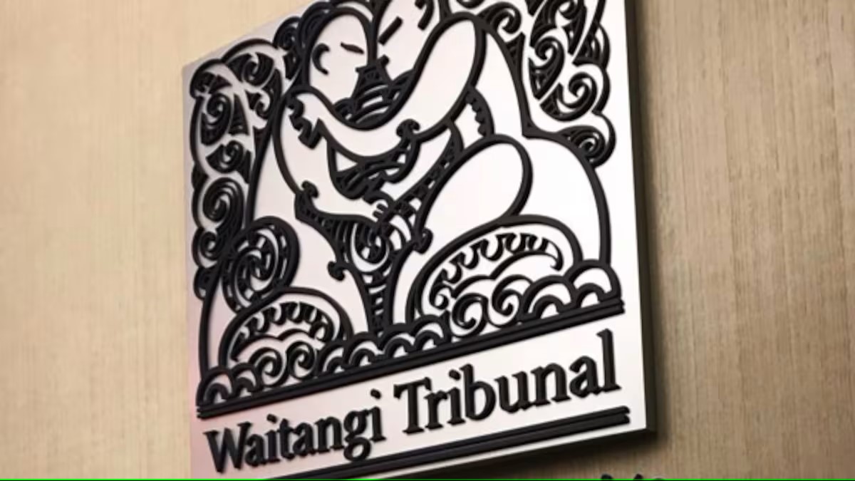 The Waitangi Tribunal held an urgent one-day hearing on the bill on Wednesday. Photo / Supplied