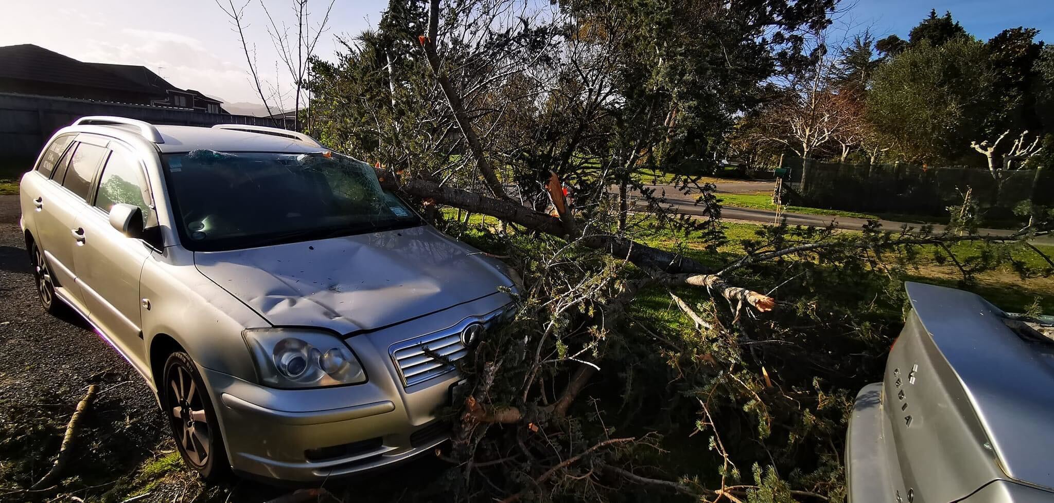 Heavy westerlies have already wreaked havoc around the country - blowing a tree onto this car in Paraparaumu - this month.