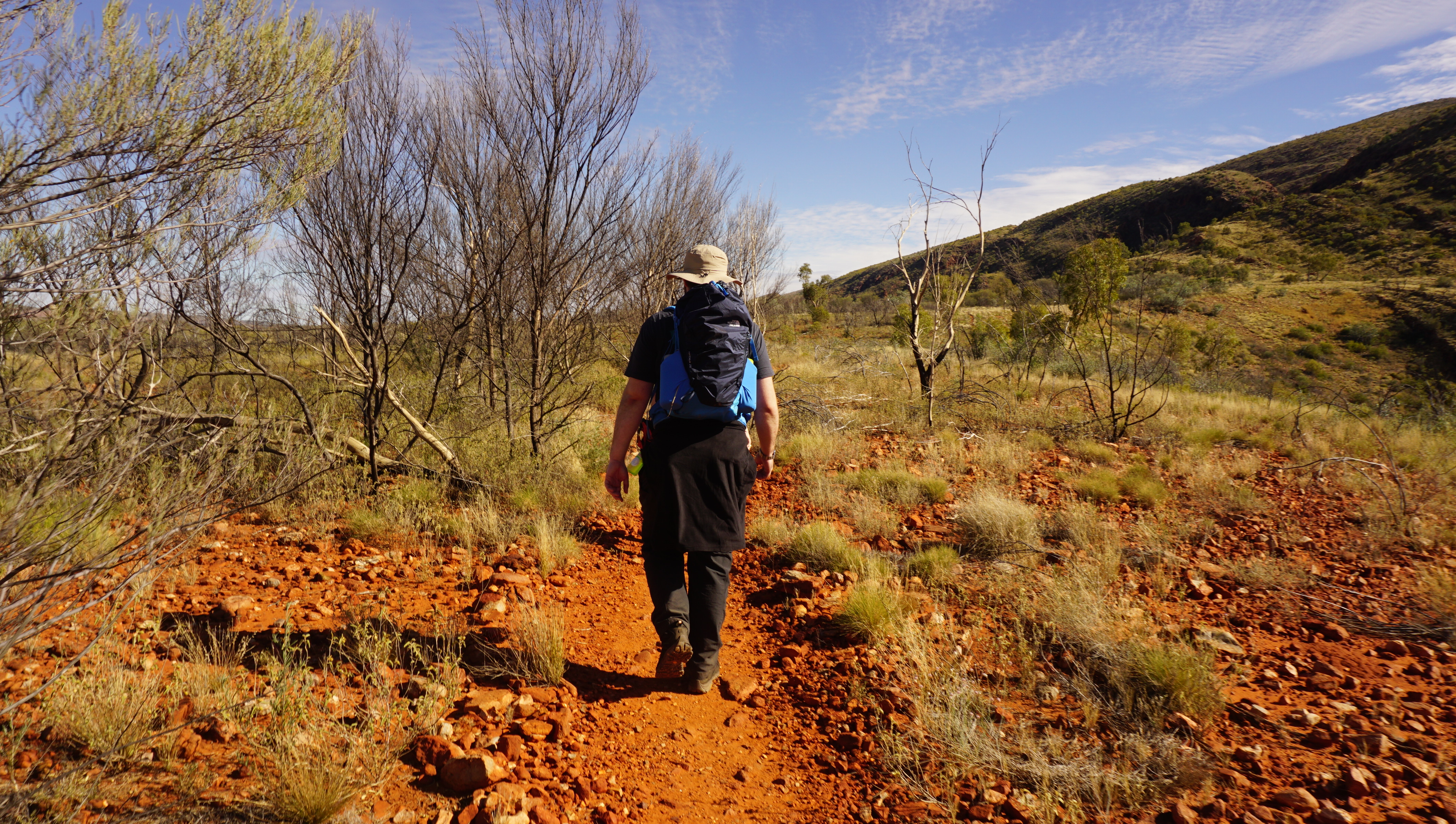 Hiking the Larapinta Trail in Australia with World Expeditions. Photo / Anna Sarjeant