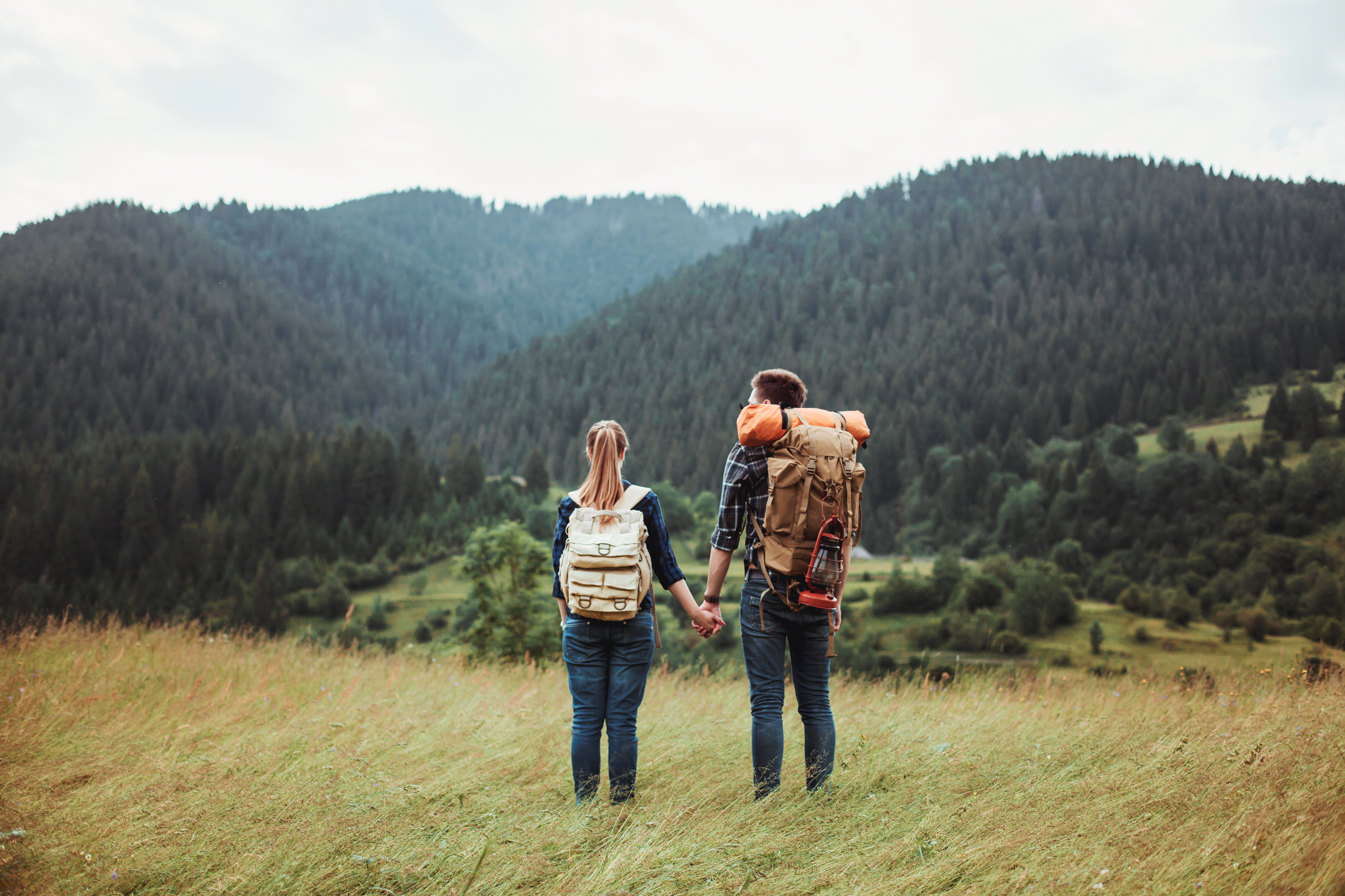 Spending time in nature releases phytoncides from trees, boosting the immune system and reducing stress. Photo / 123rf
