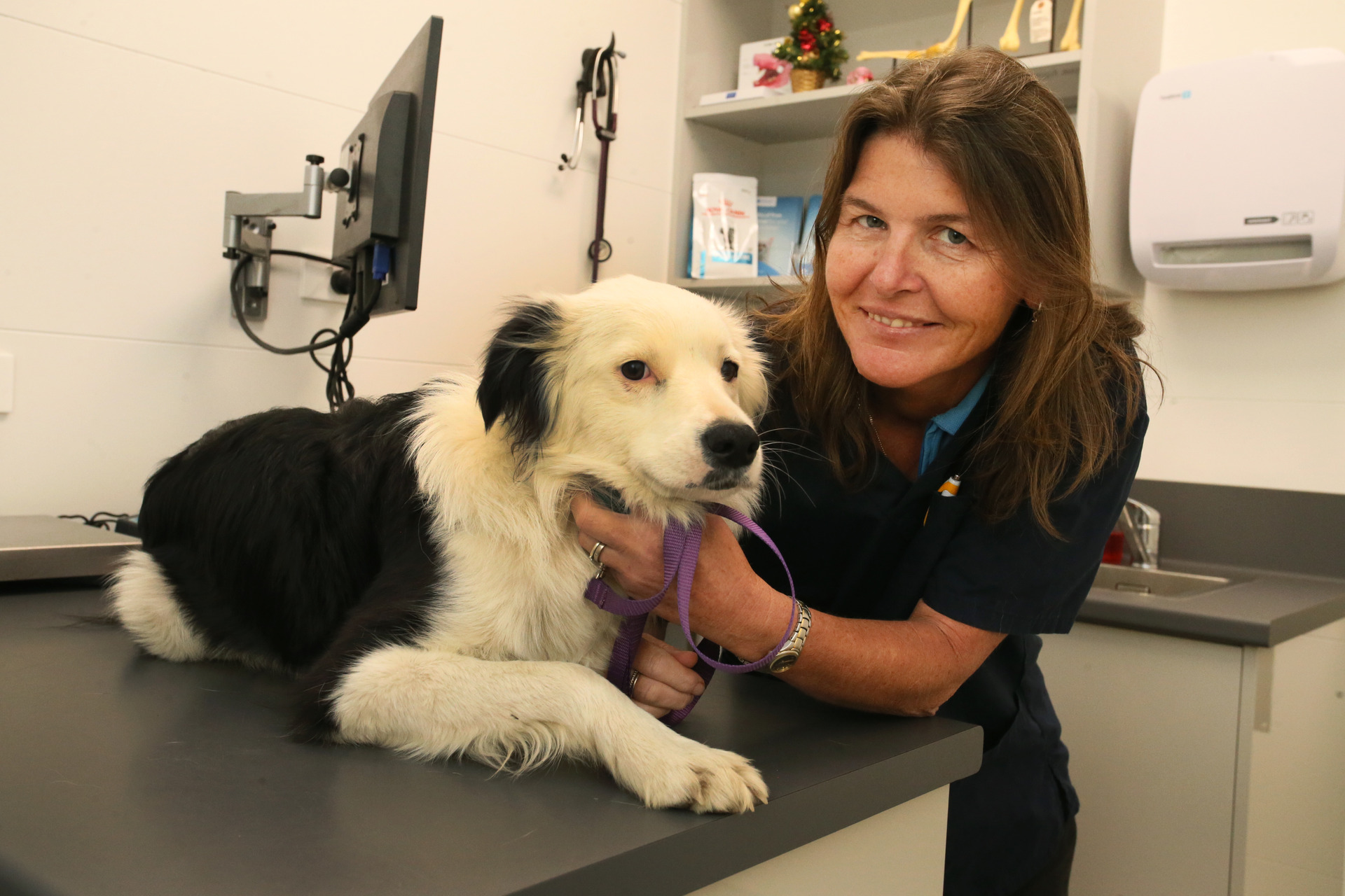 Kamo vet Sandra Murray says helping the injured police dog was a 