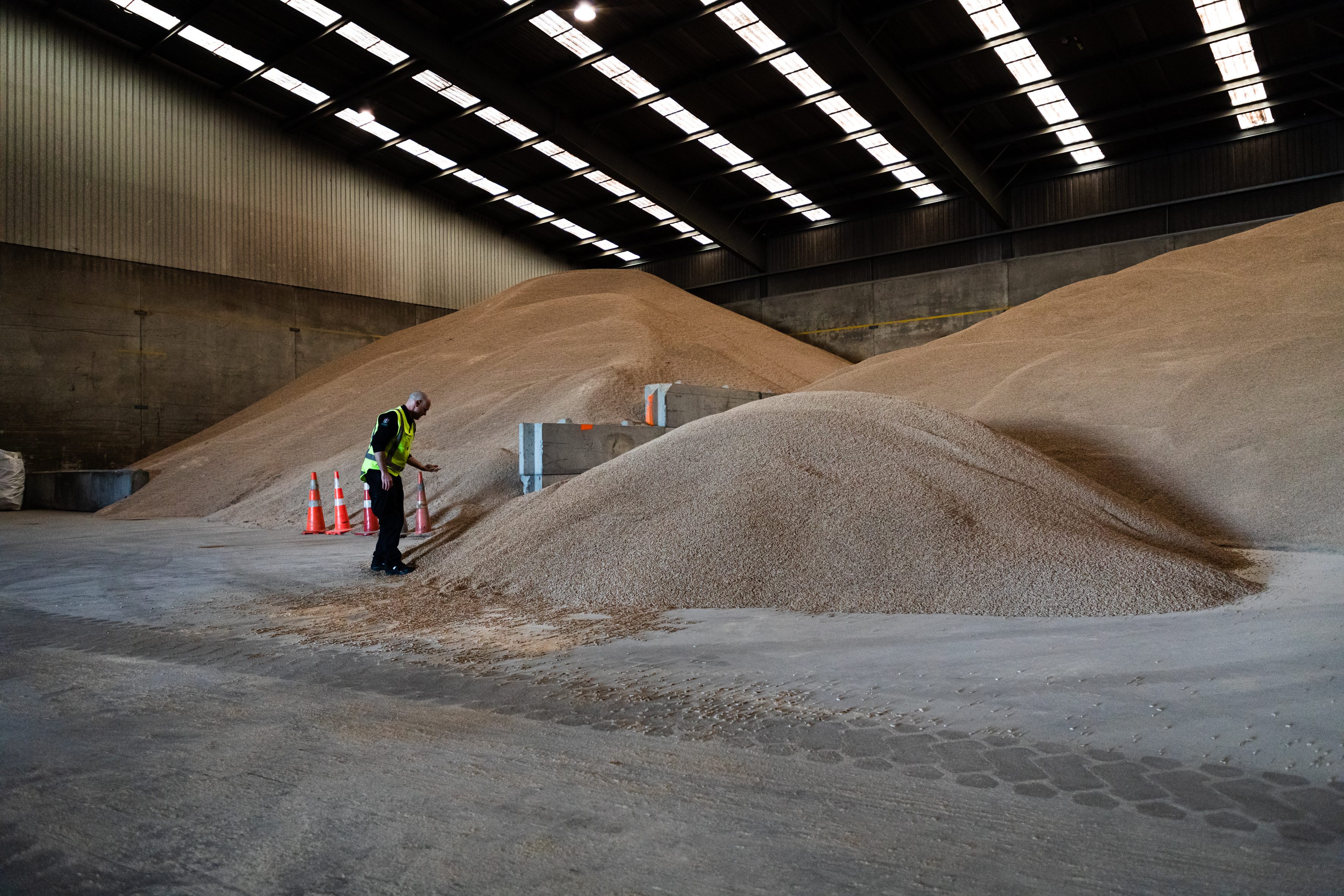 Avent Green inspects bulk imports at the RMD Transport storehouse in Tauranga. Photo / Alex Cairns