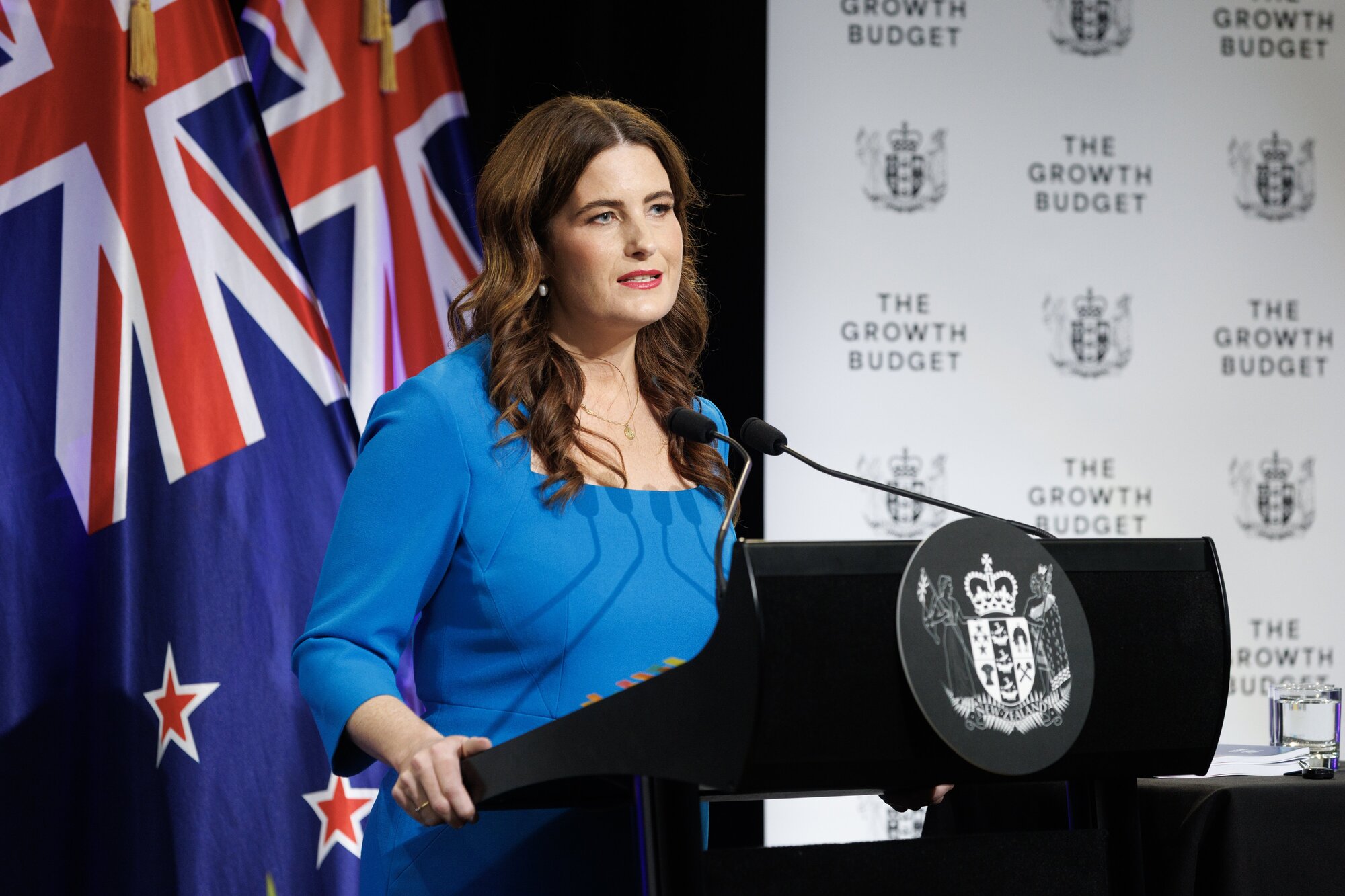 Finance Minister Nicola Willis during her presentation at the Budget 2025 lockup. Photo / Mark Mitchell