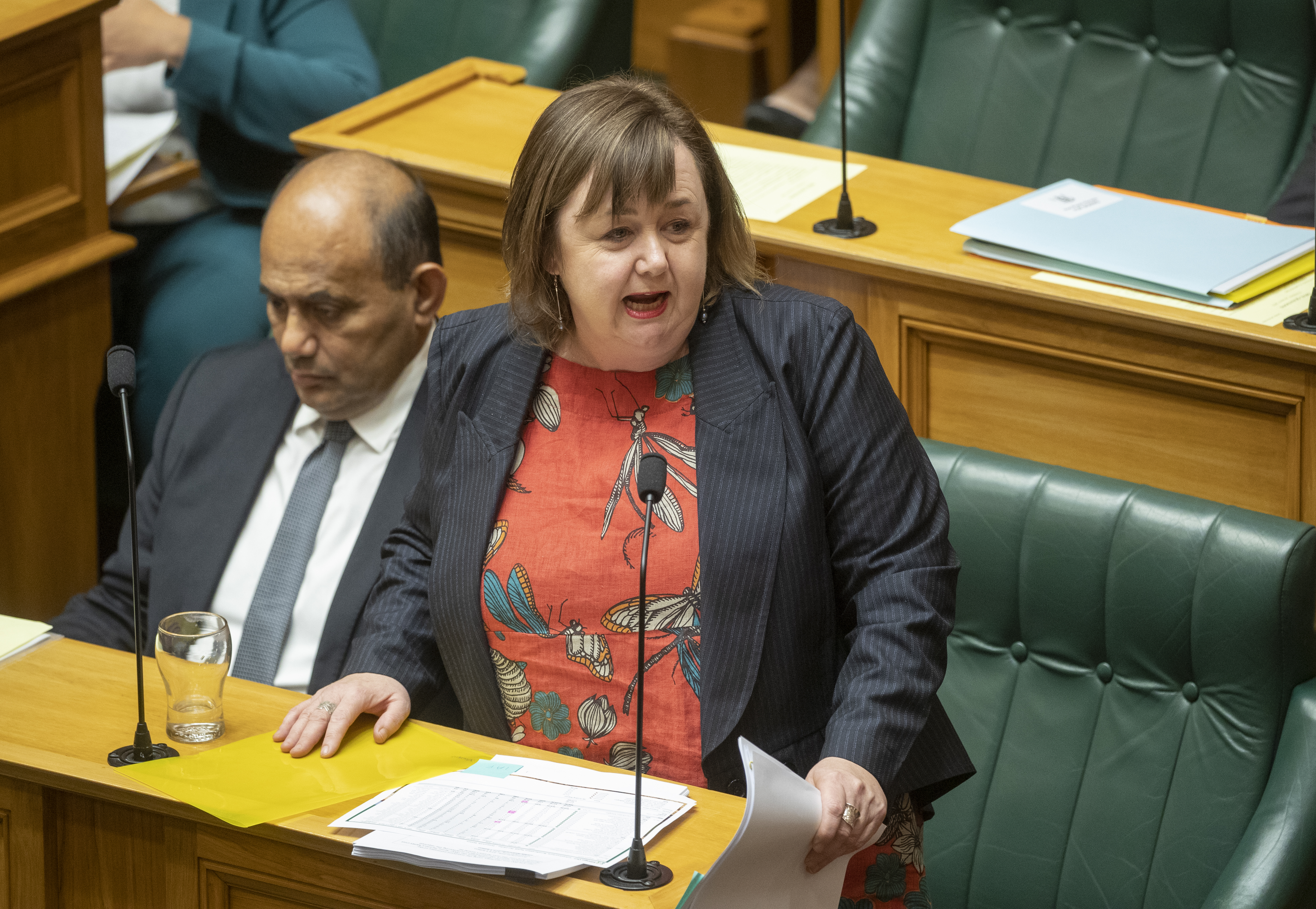 Labour’s campaign chairwoman Megan Woods. Photo / Mark Mitchell