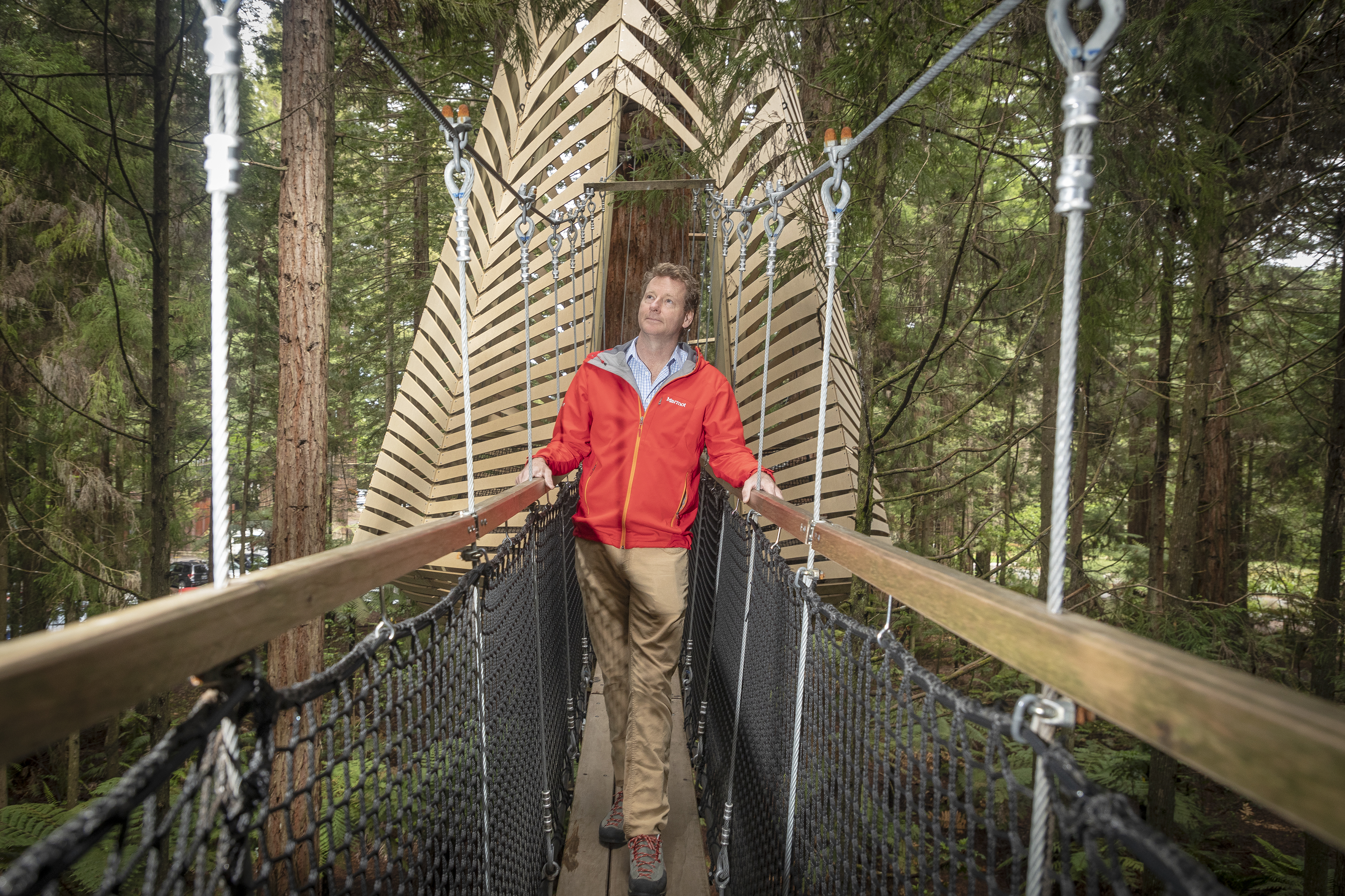 Rotorua's Redwoods Treewalk co-founder Bruce Thomasen is prepping for a busy week. Photo / Andrew Warner