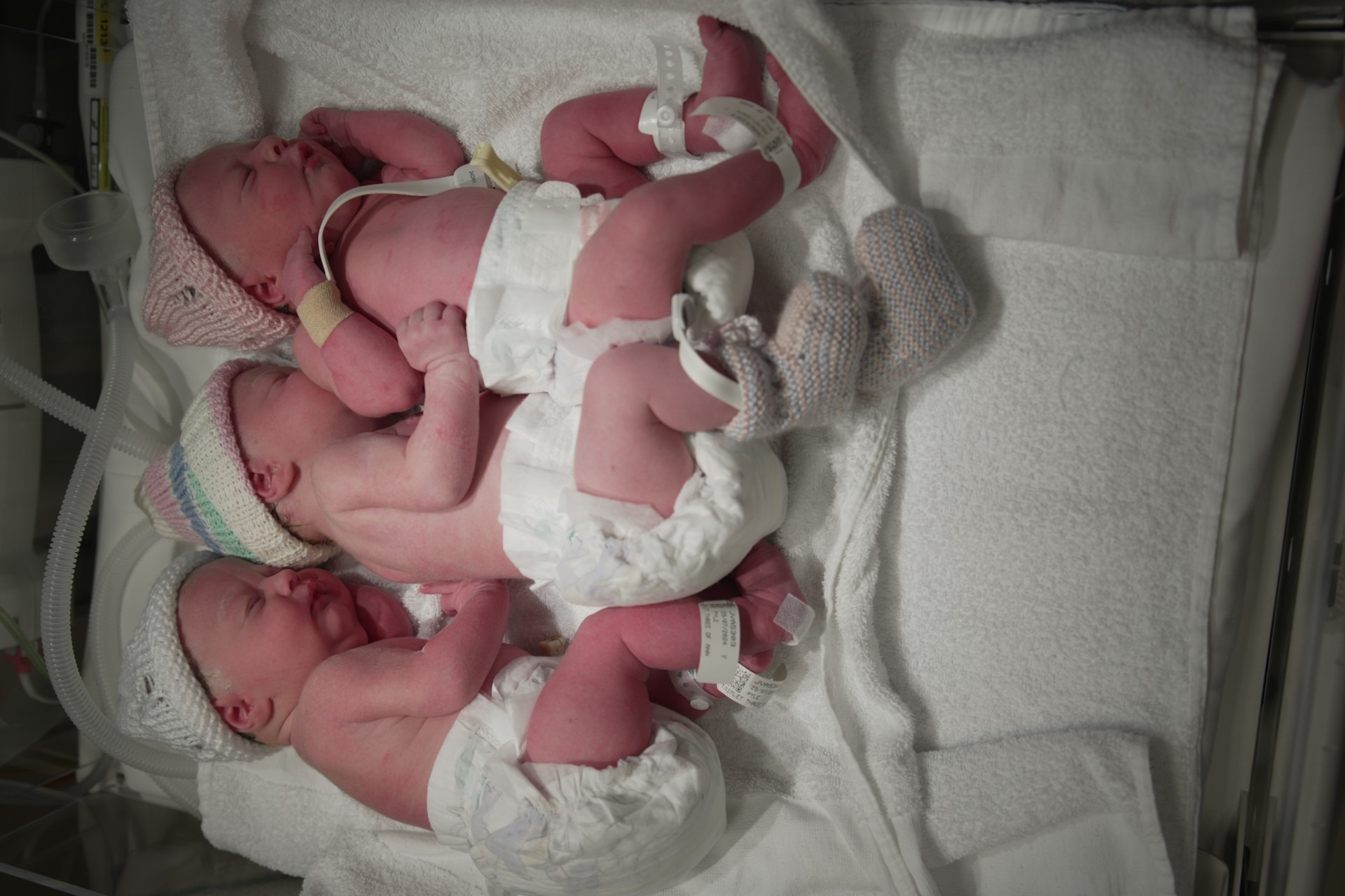 The Pyle identical triplet sisters, Sophia, Adeline and Gabriella, were born in Whangārei Hospital - identical triplets are a one-in-a-million chance