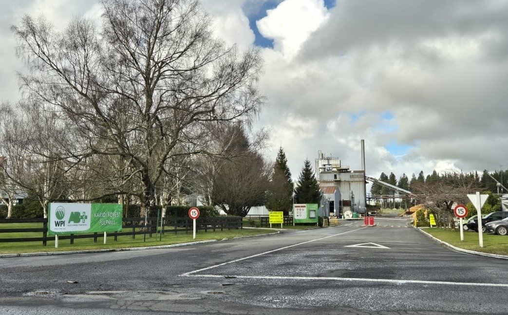 Winstone Pulp International's Karioi Pulpmill is was shut down last year. Photo / Alexa Cook, RNZ