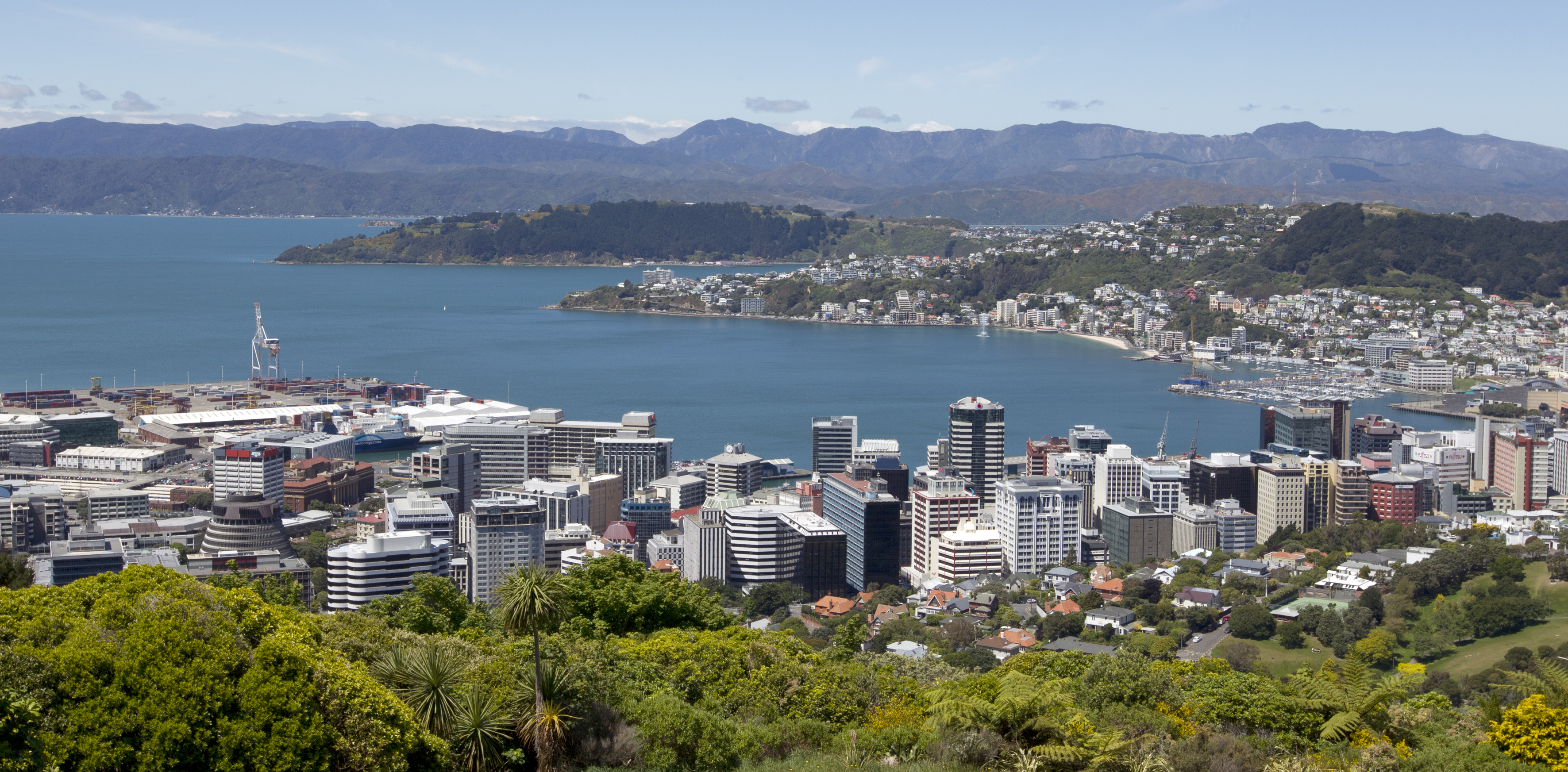 The land value in Wellington is overinflated, one real estate agent said. Photo / Mark Mitchell