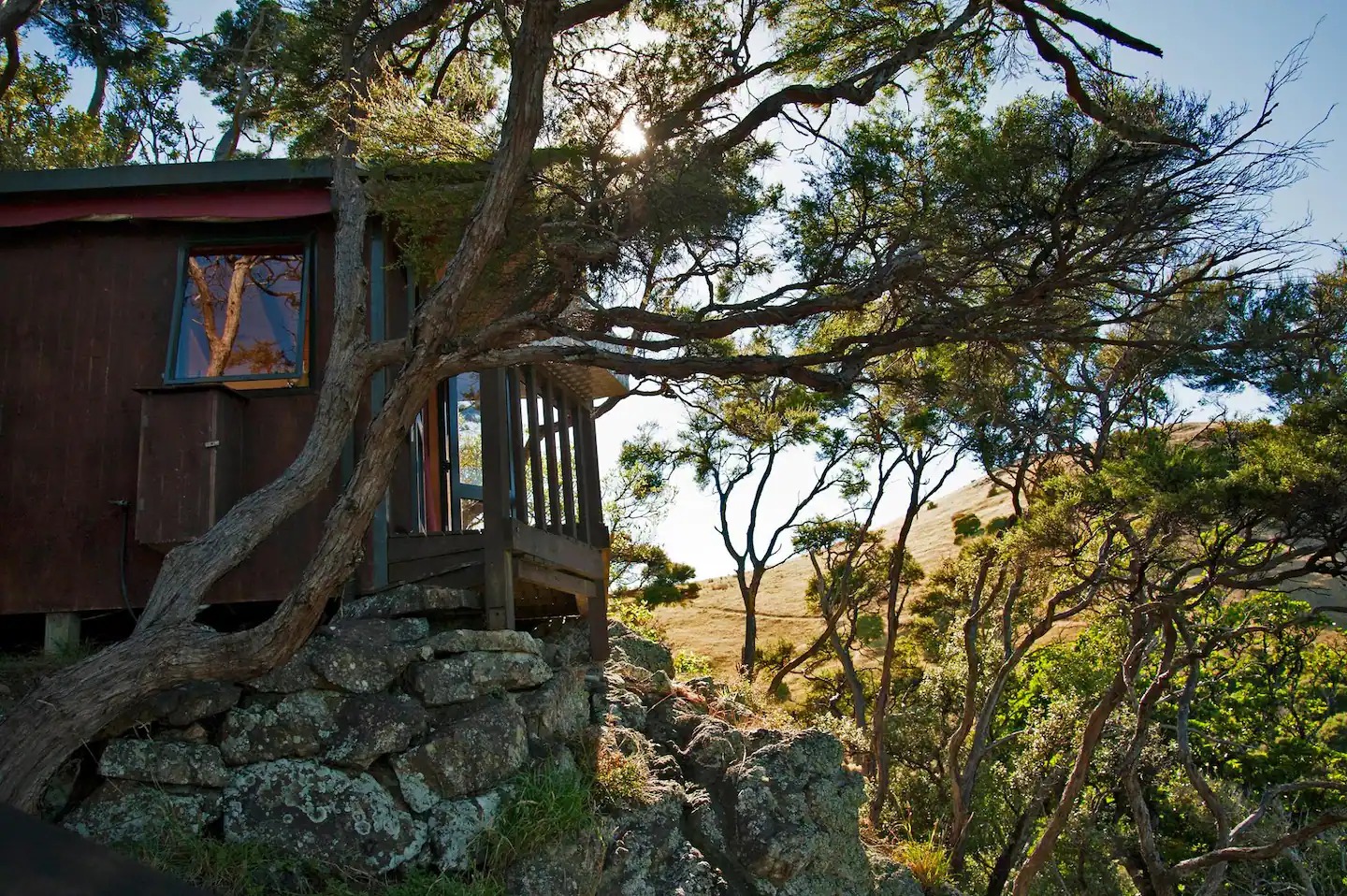 The modest bach became an online sensation on the island in the Tasman Bay. Photo / Supplied 