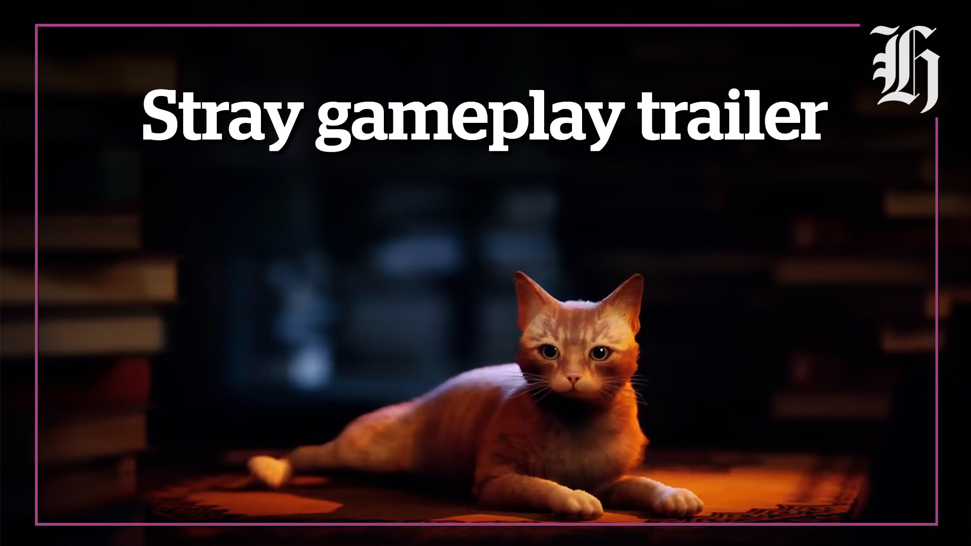 Stray, a video game with a feline hero, brings some benefits to real cats