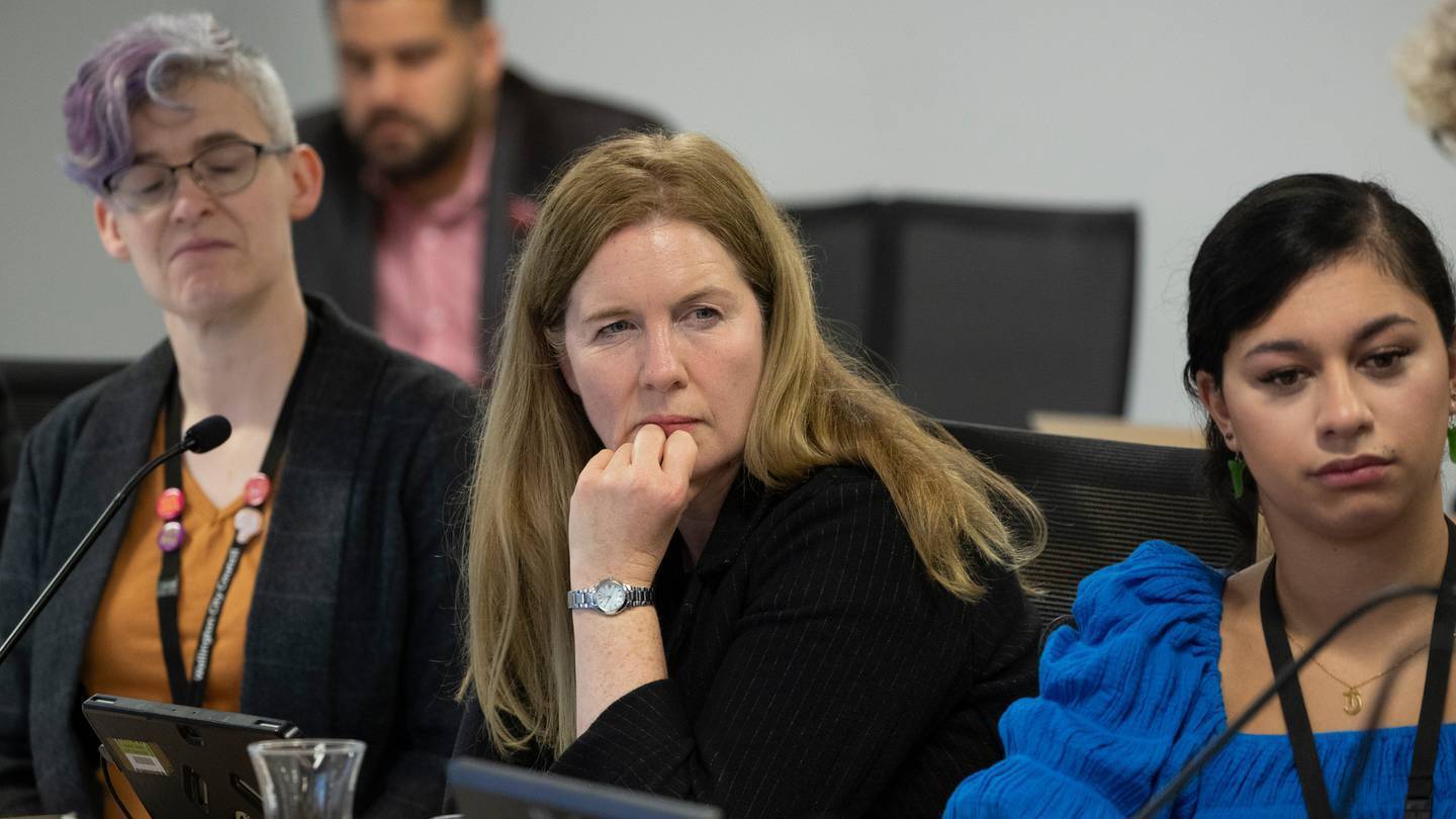 Wellington City councillor Iona Pannett. Photo / Mark Mitchell