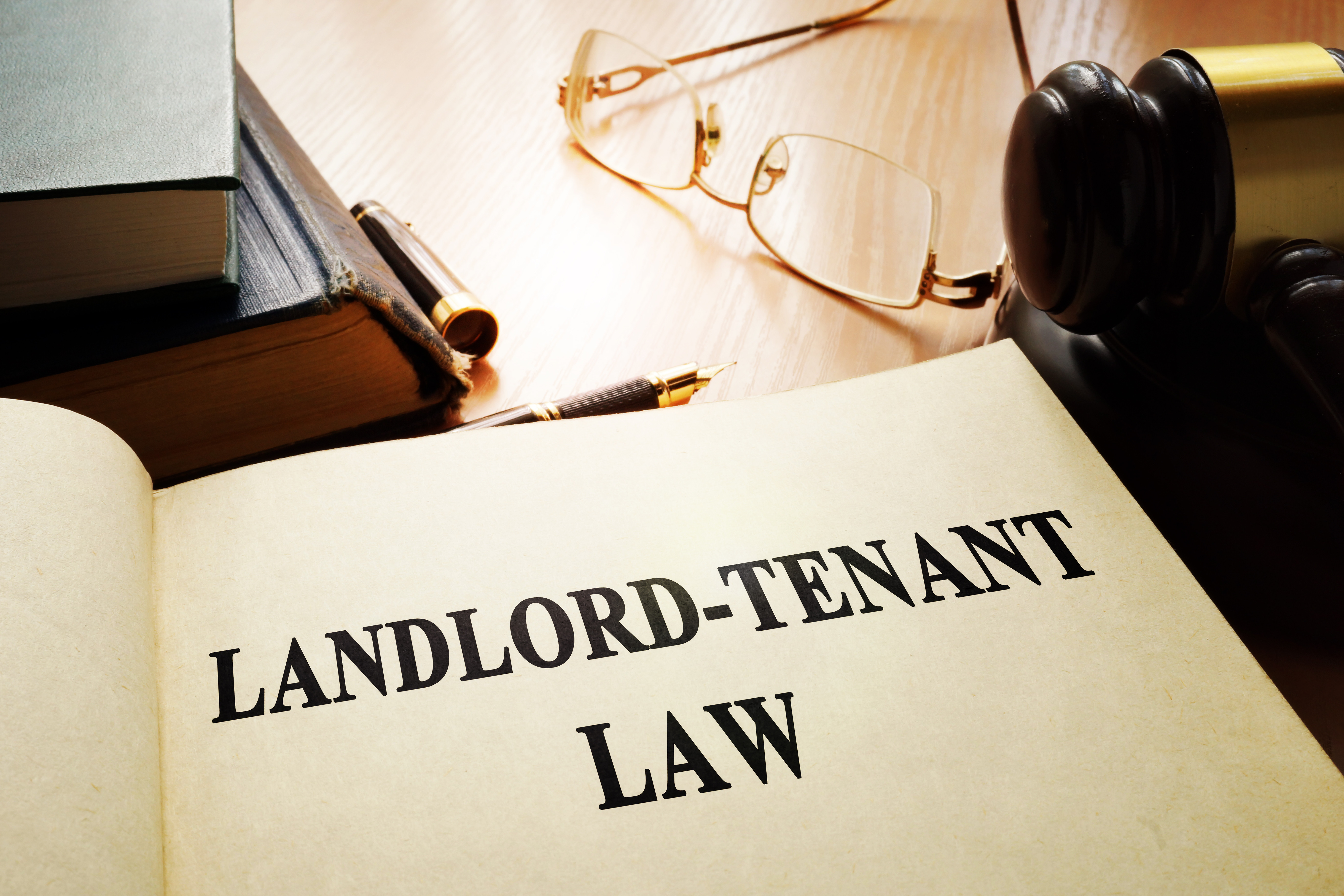 The Tenancy Tribunal found the landlord did not investigate the tenant's
