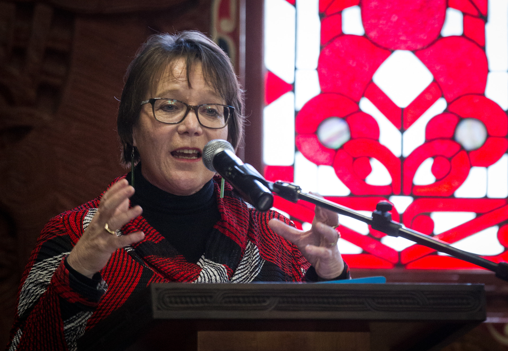 Internal Affairs Minister Tracey Martin says she has no plans to follow the United Kingdom in requiring social media companies to have a duty of care to users. Photograph / Stephen Parker
