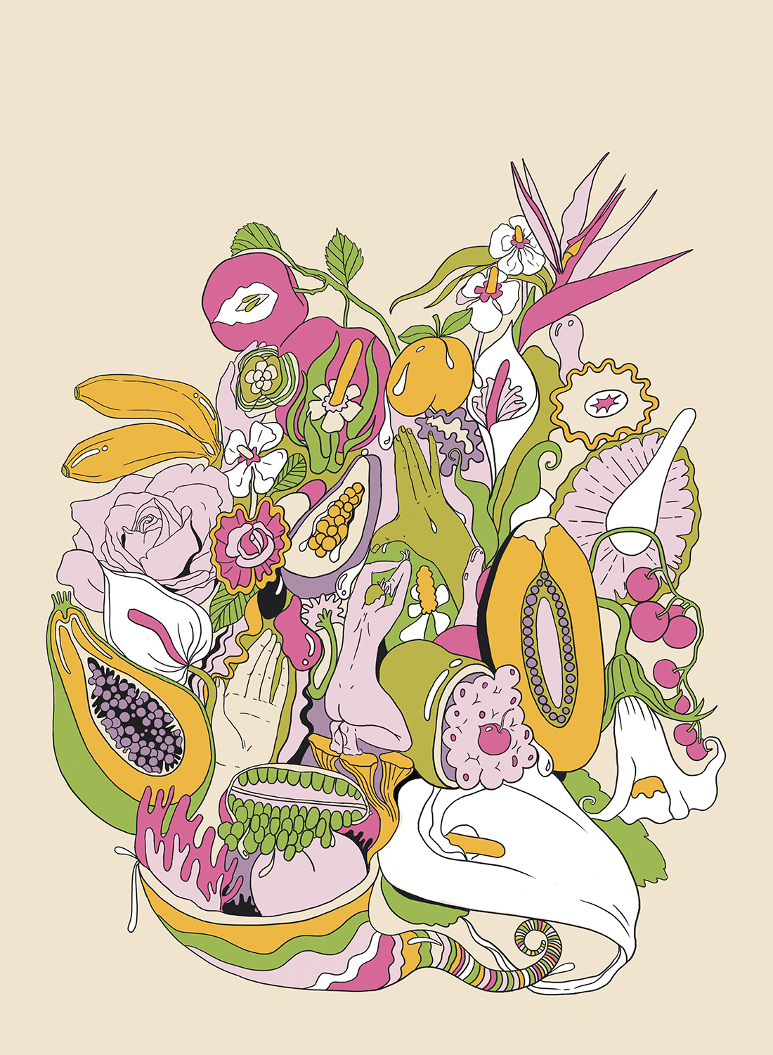 Illustration / Lily Paris West