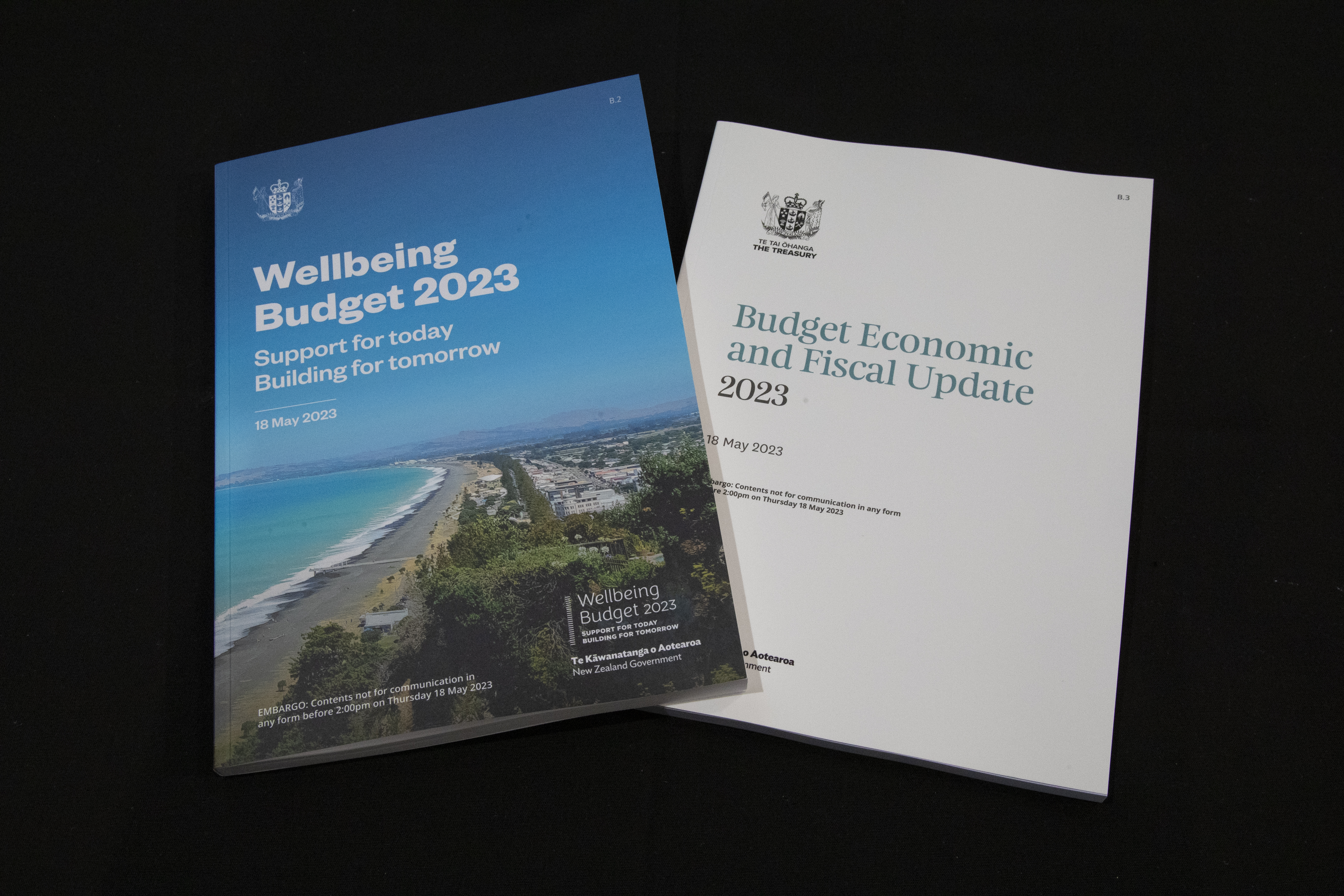 Under a rule change, Treasury would have put climate costs on to the Government's books. Photo / Mark Mitchell