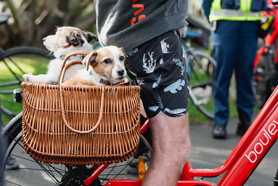 Almost ready to bike the bridge, at the rally on May 30. Photo / Dean Purcell