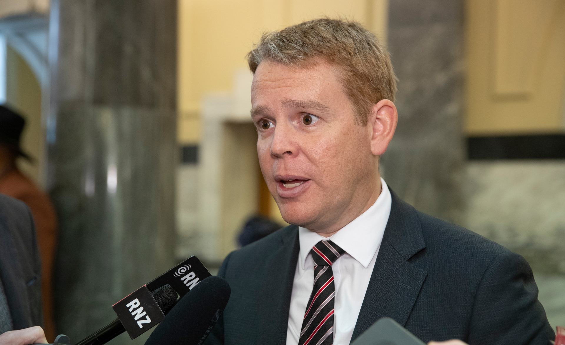 Covid-19 Response Minister Chris Hipkins. Photo / Mark Mitchell