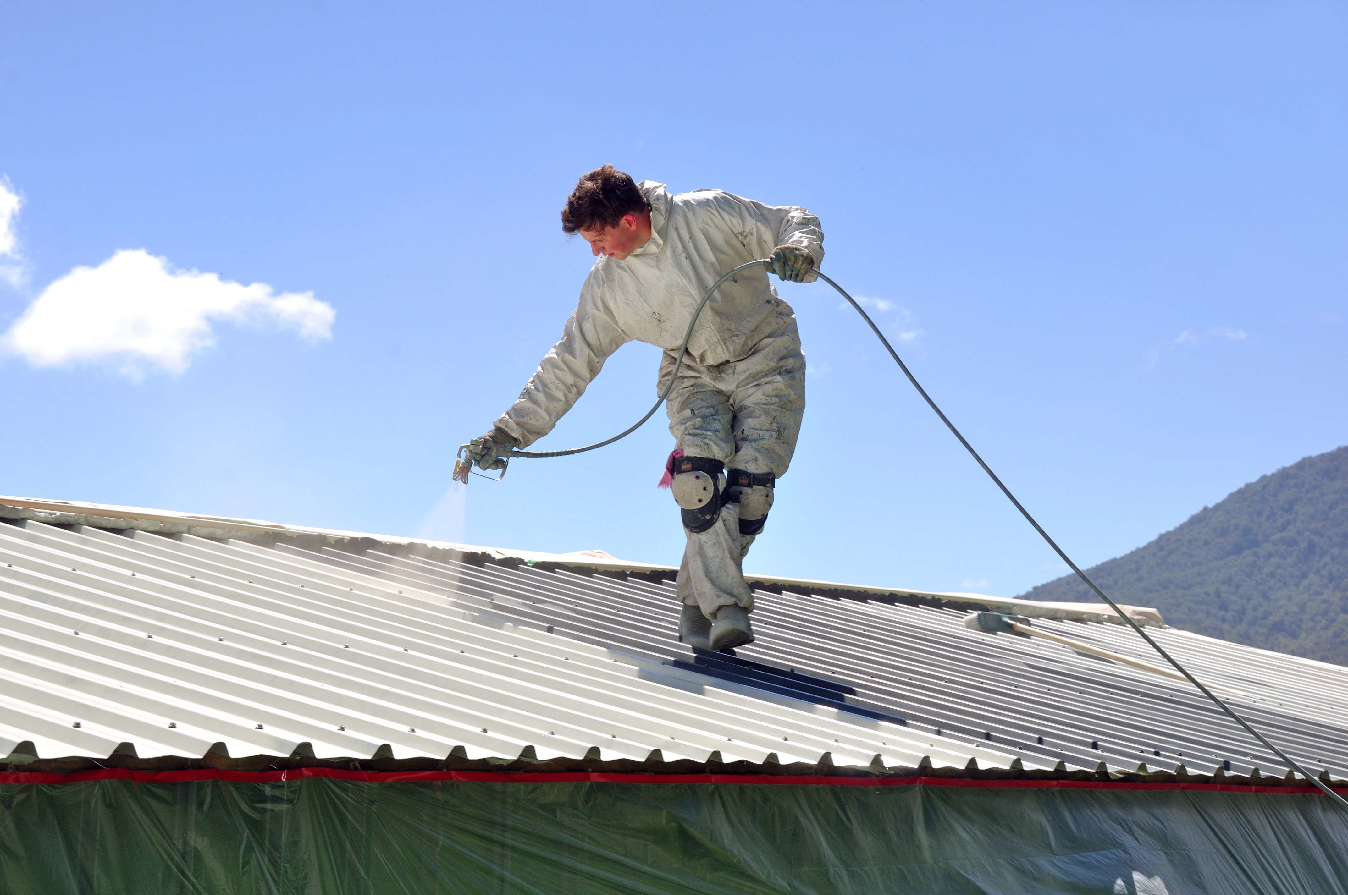 The ecological advantage of a white roof NZ Herald