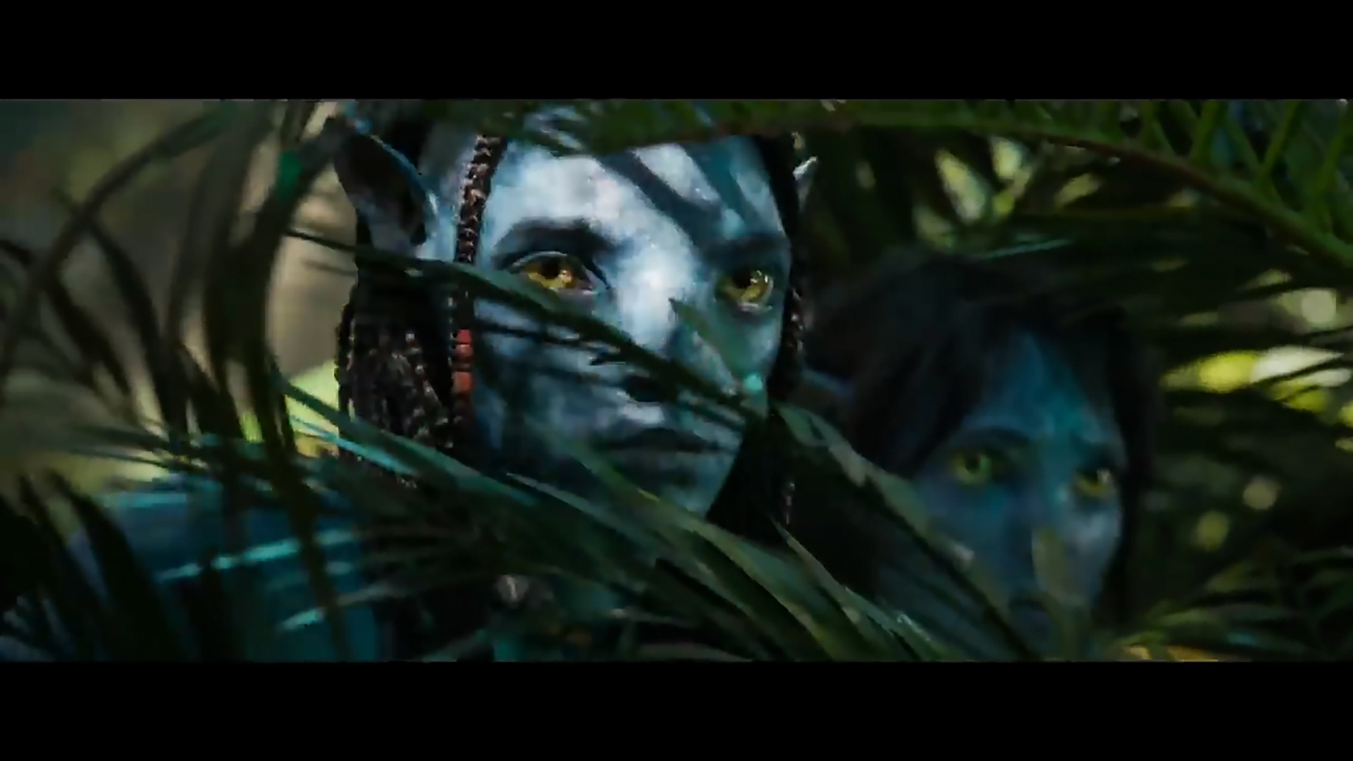 The yet-to-be-released Avatar sequels have already received the second most government film rebates. Photo / Supplied