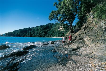 Ōhope, a well-known beach, has a secret spot called Ōtarawairere accessible via a cliff-hugging walkway. Photo / Tourism Whakatāne 