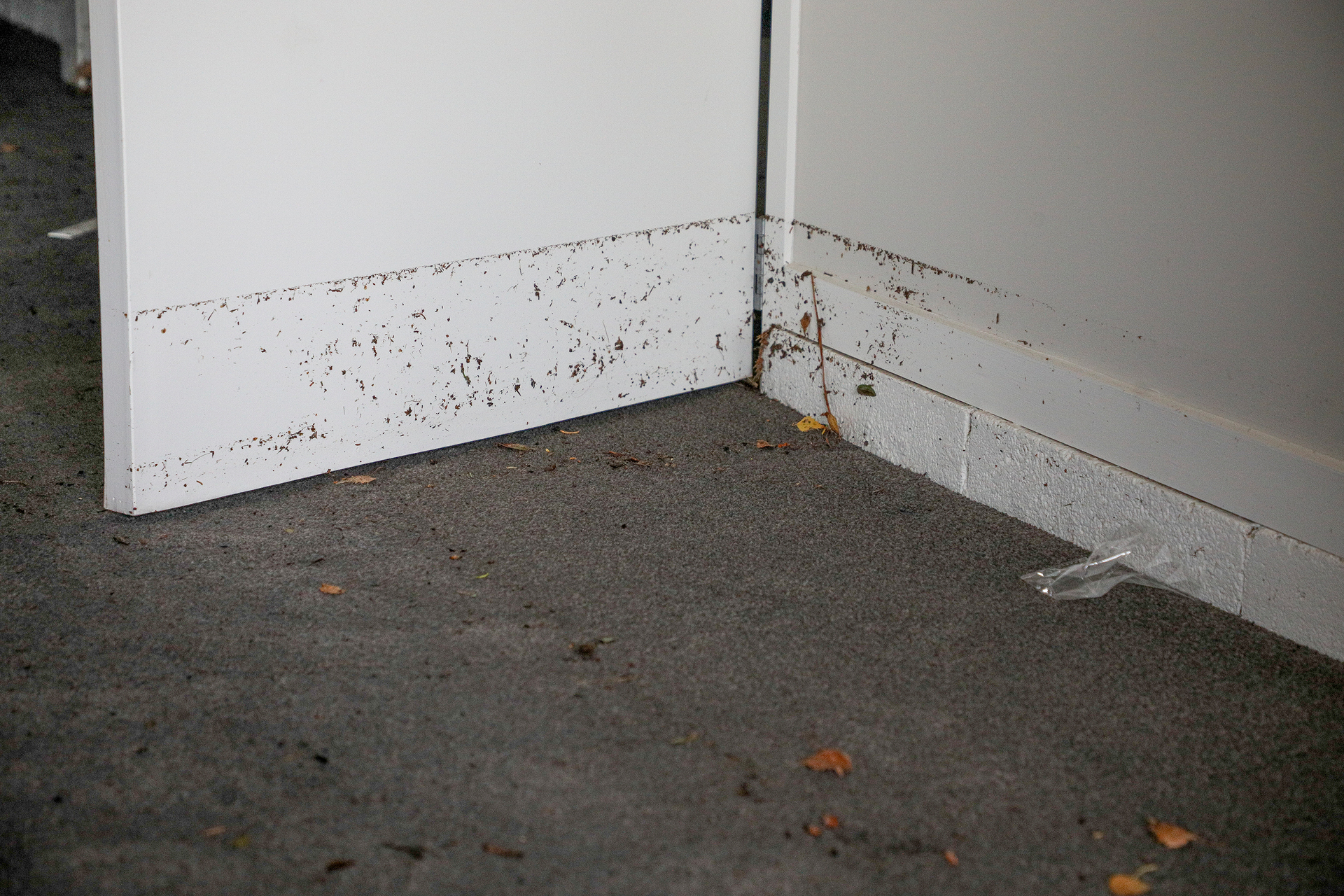 Hutin said the flood water that filled her house was about seven inches deep. Photo / Andrew Warner 
