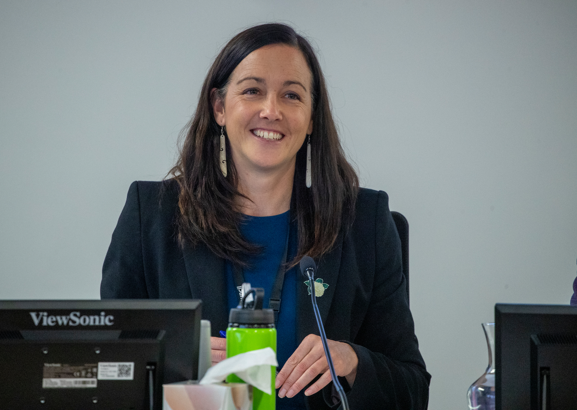 Labour Party president Jill Day says contesting an “unwinnable byelection takes focus and resources away from the role” of transitioning to opposition. Photo / Mark Mitchell 